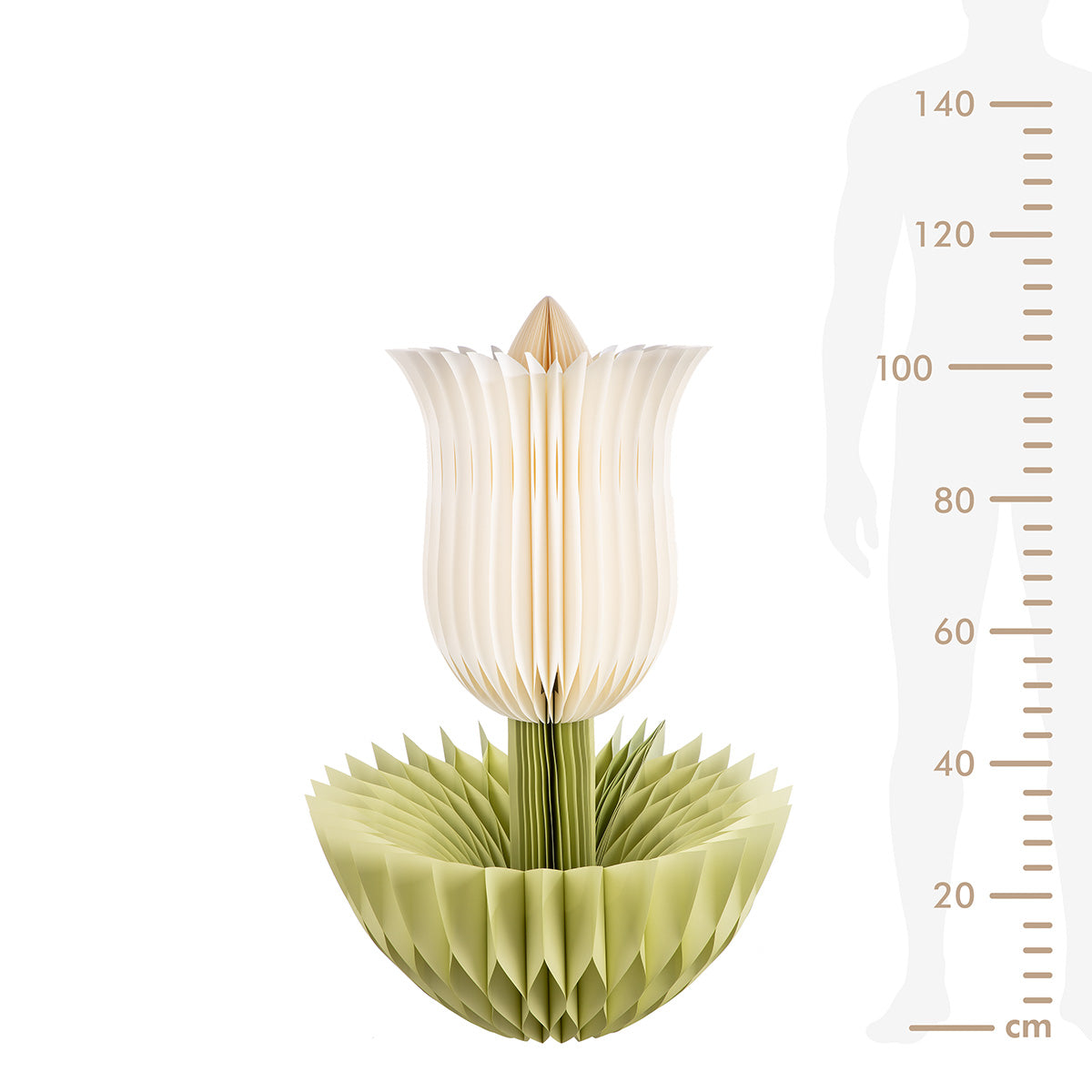 Grote Papieren Tulp Crème 116 cm