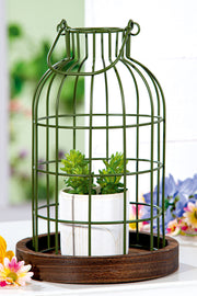 Decoratieve Melkkan Bricco Groen