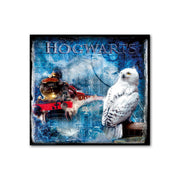 Harry Potter Hedwig schilderij 70 cm