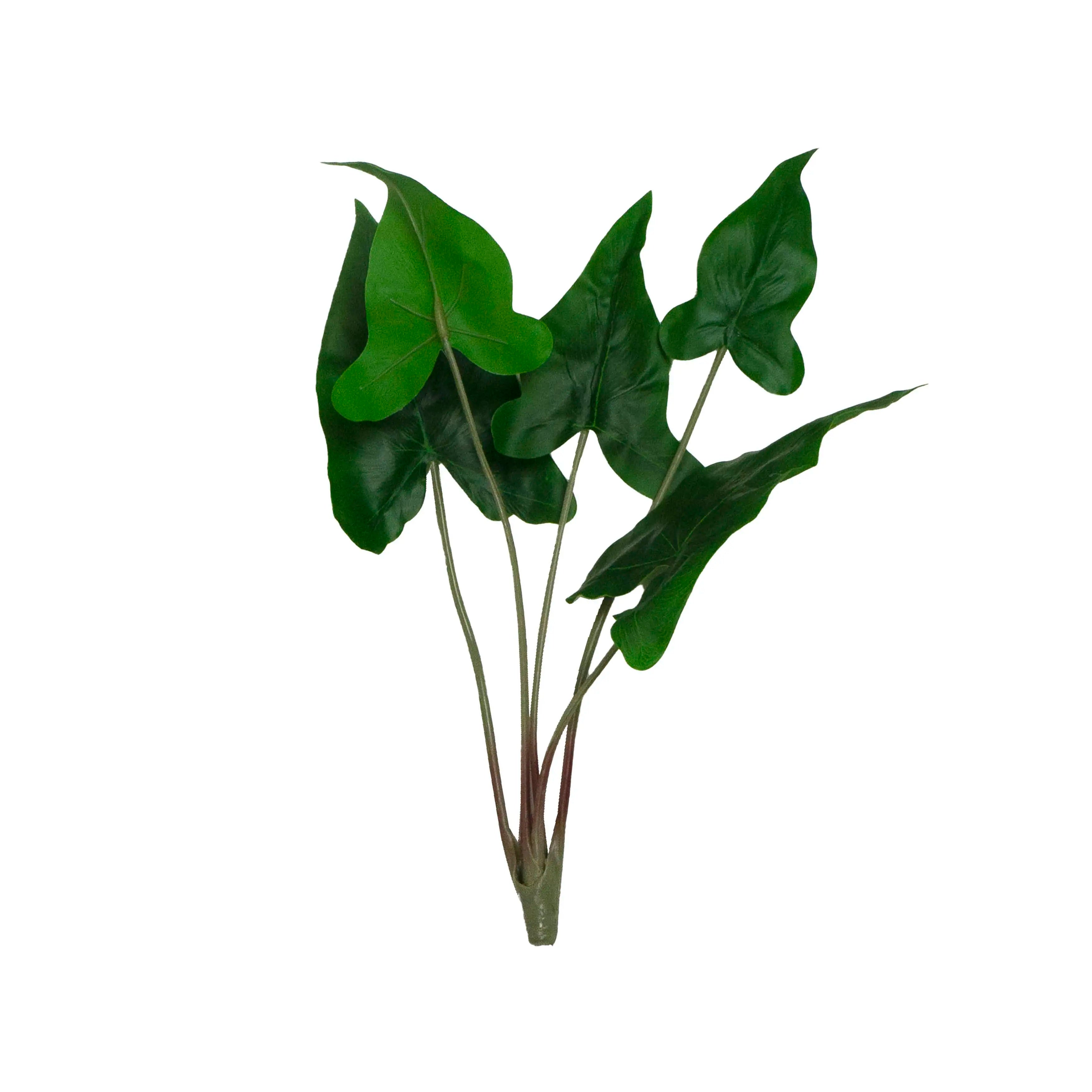 Alocasia Groen 36x36x37cm