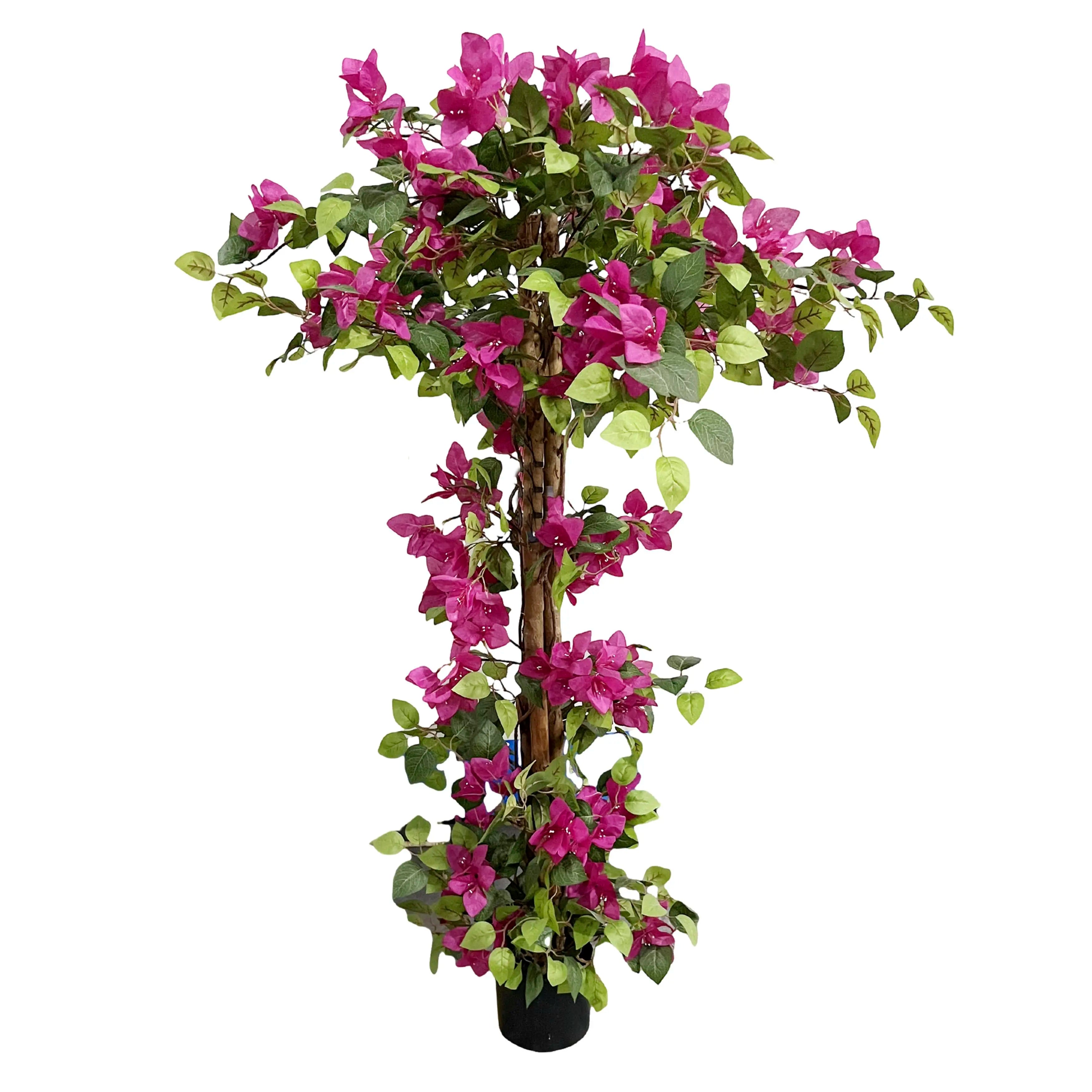 Bougainvillea Boom Fuchsia 70x50x120cm