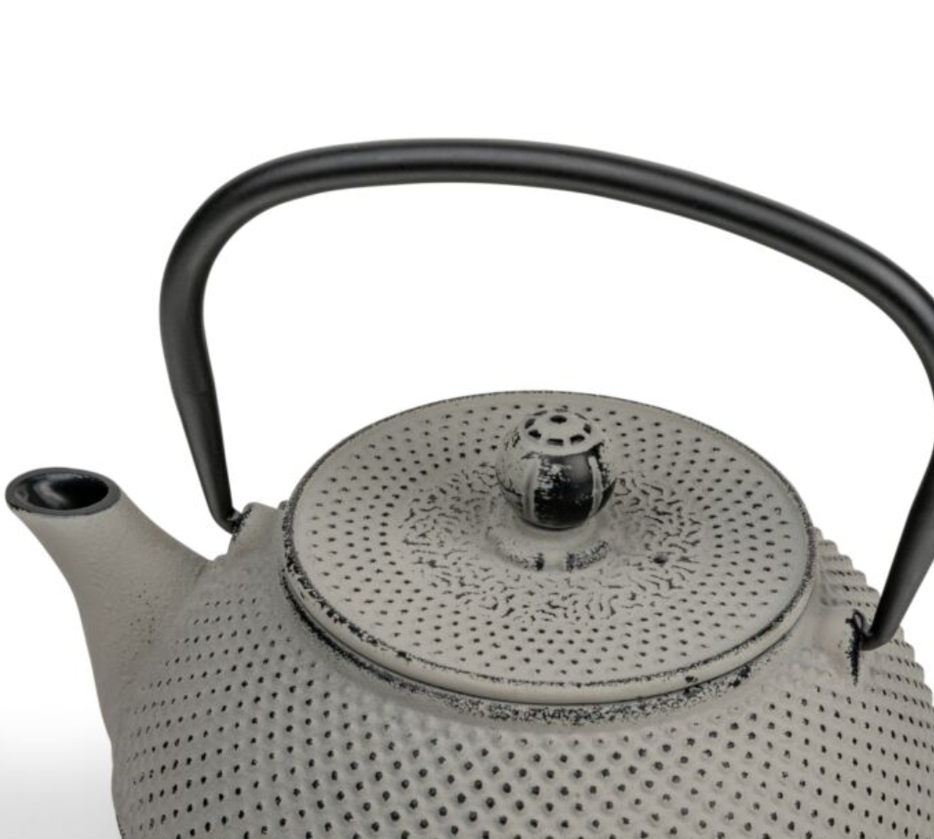 Bredemeijer Teapot Jang 0,8l Cast Iron grey + Filter