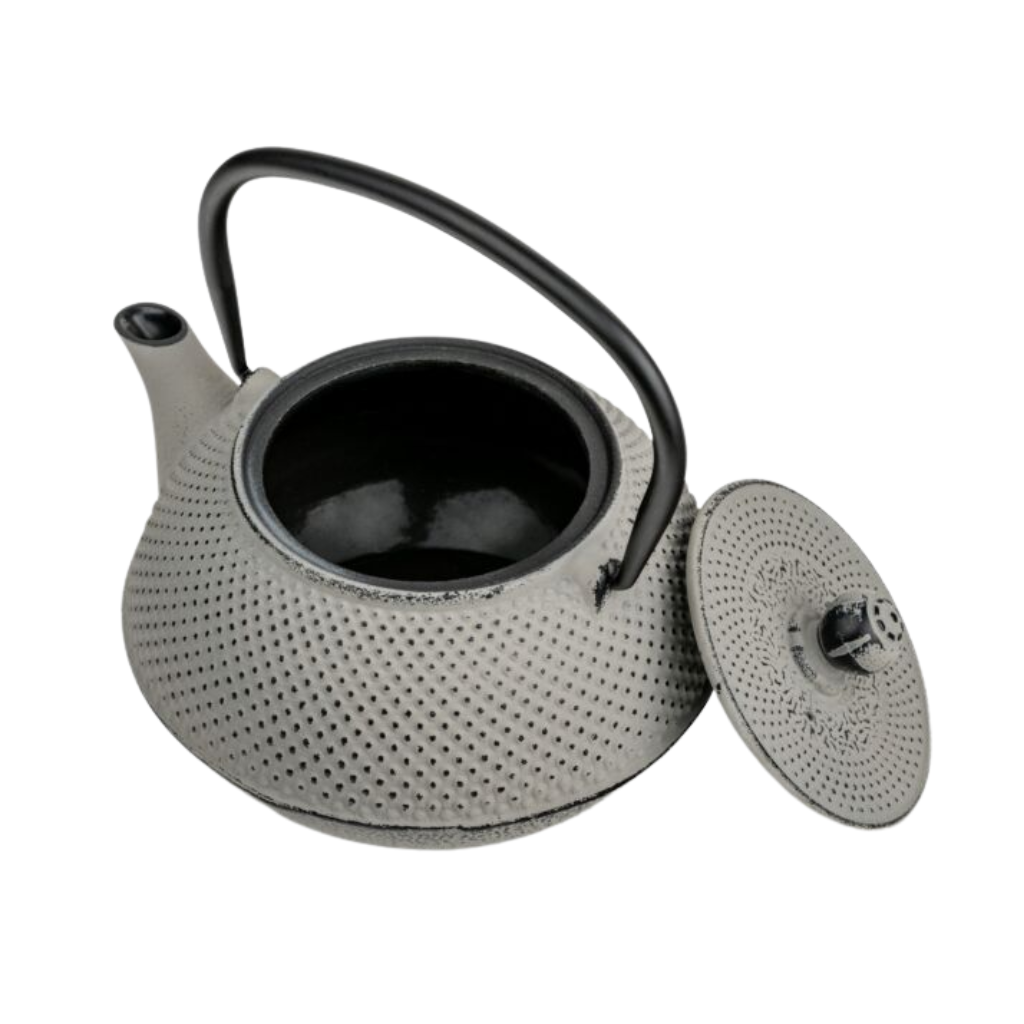Bredemeijer Teapot Jang 0,8l Cast Iron grey + Filter