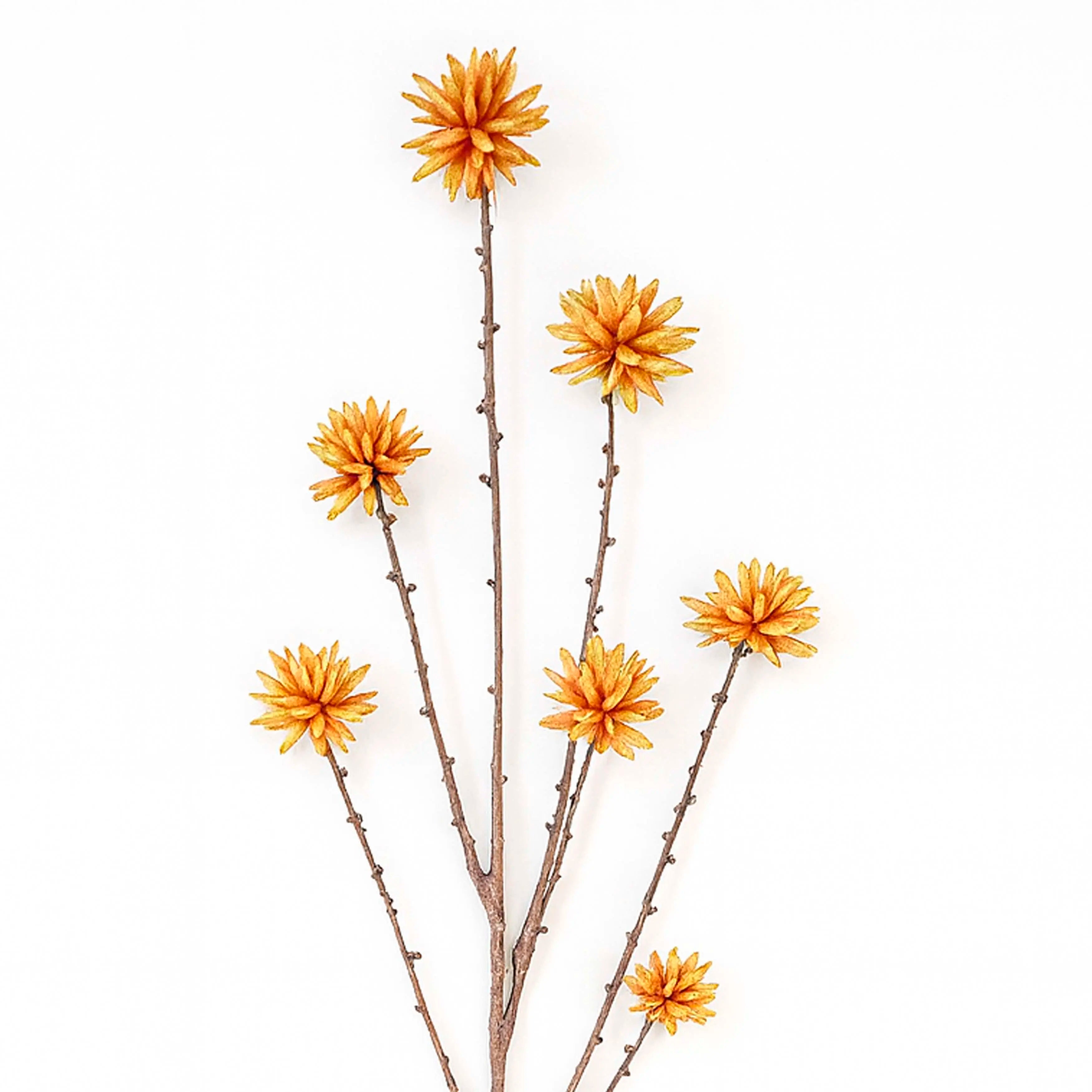 Camptotheca Geel 79cm