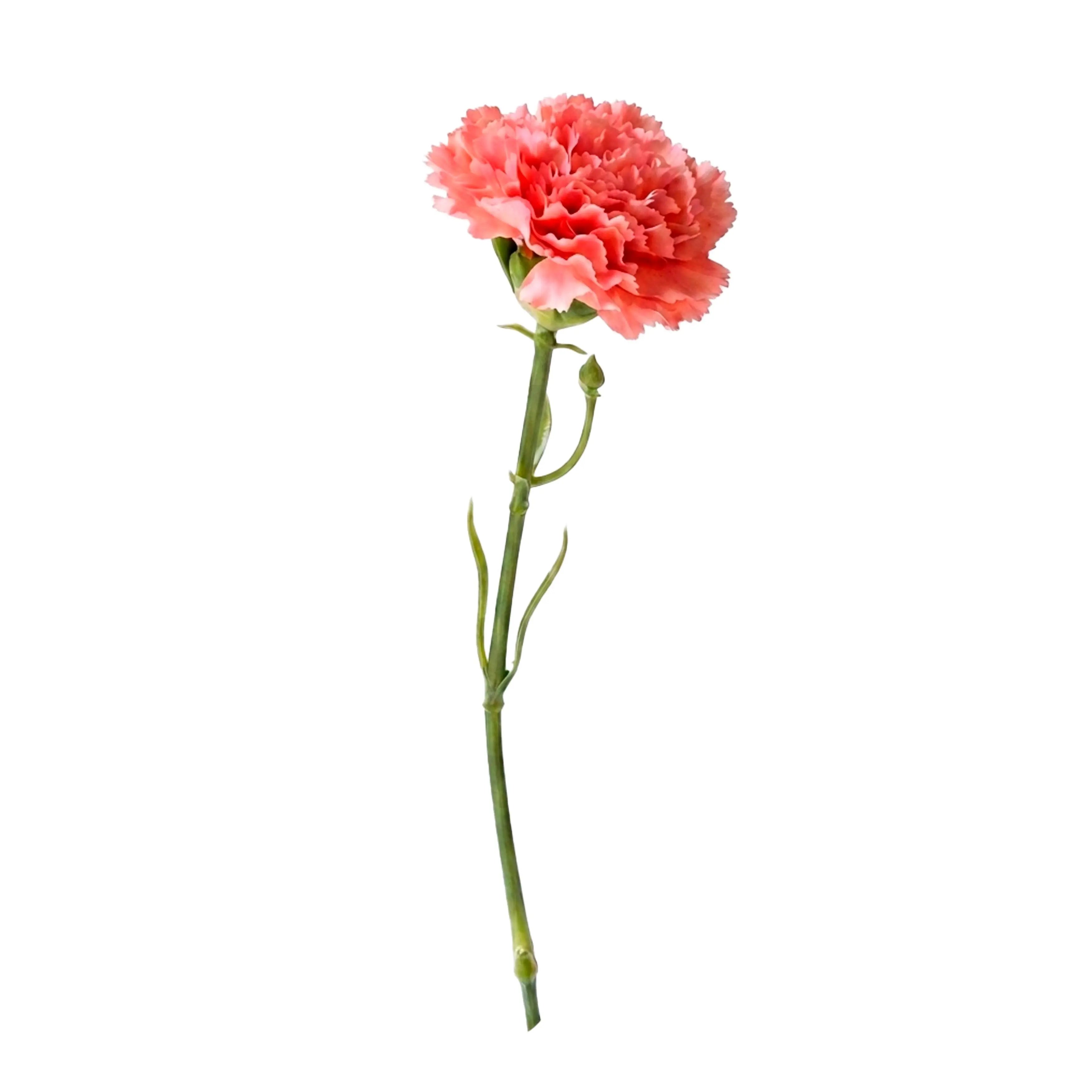 Carnation Roze 30cm