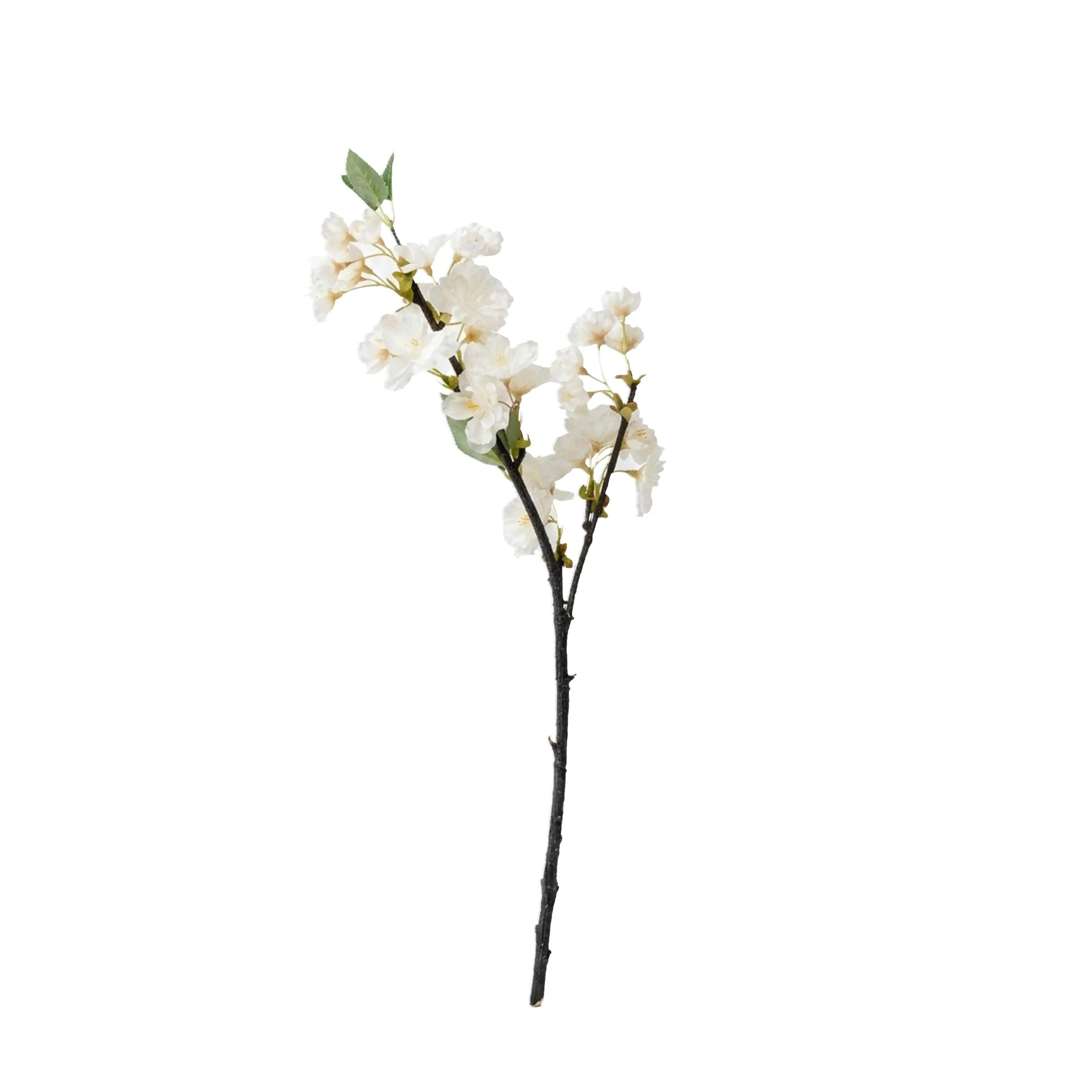Cherry Blossom Wit 49cm