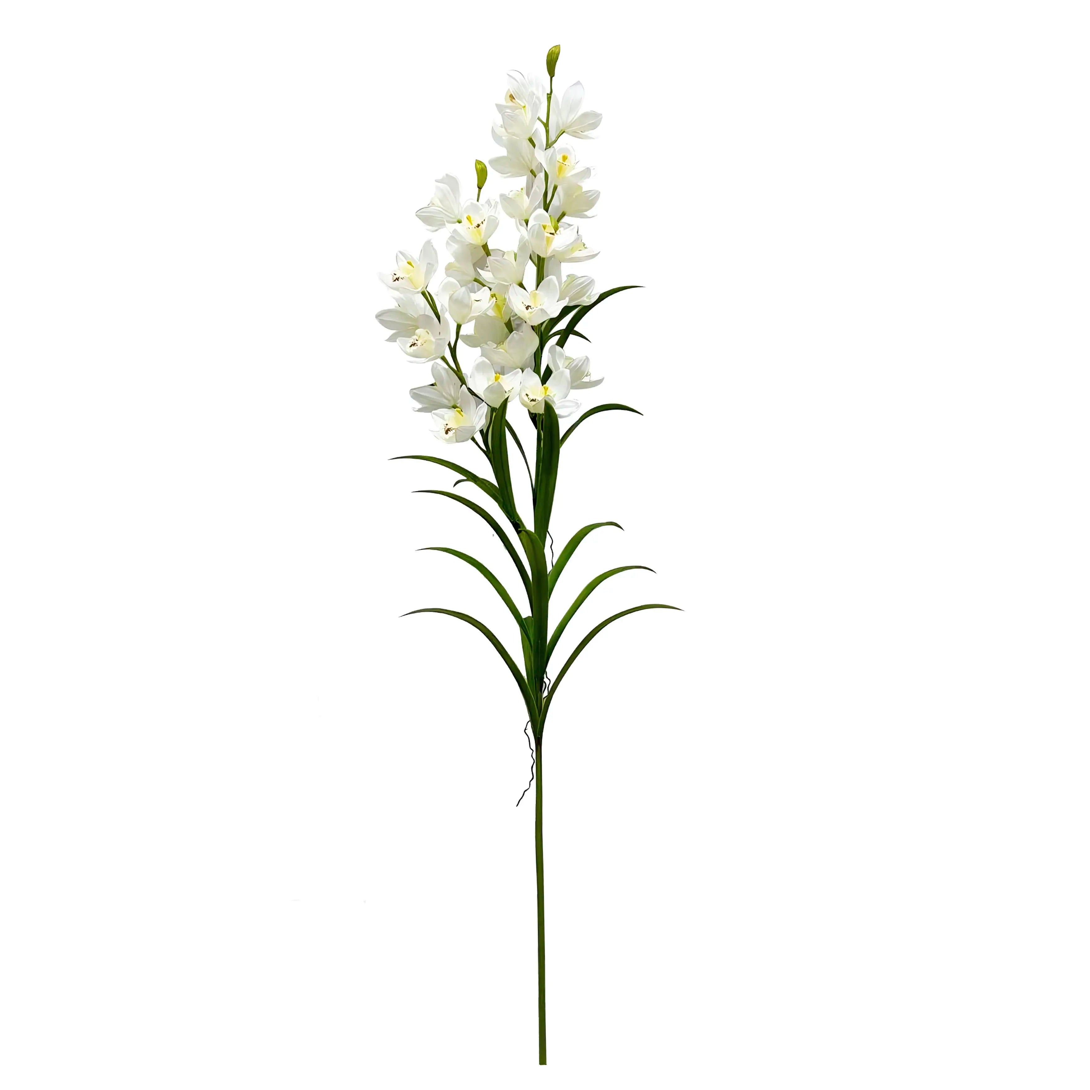 Cymbidium Wit 140cm