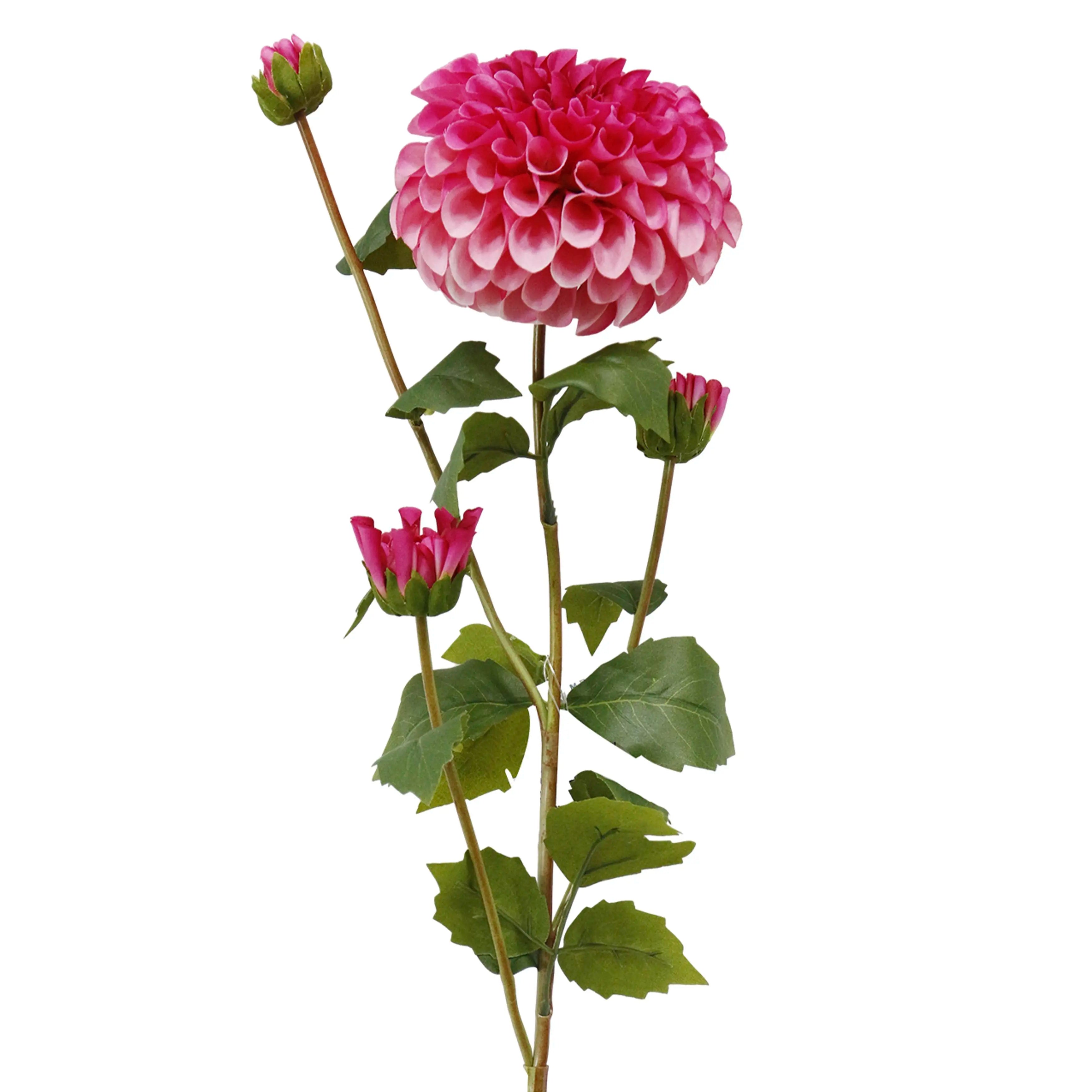 Dahlia Roze 77cm