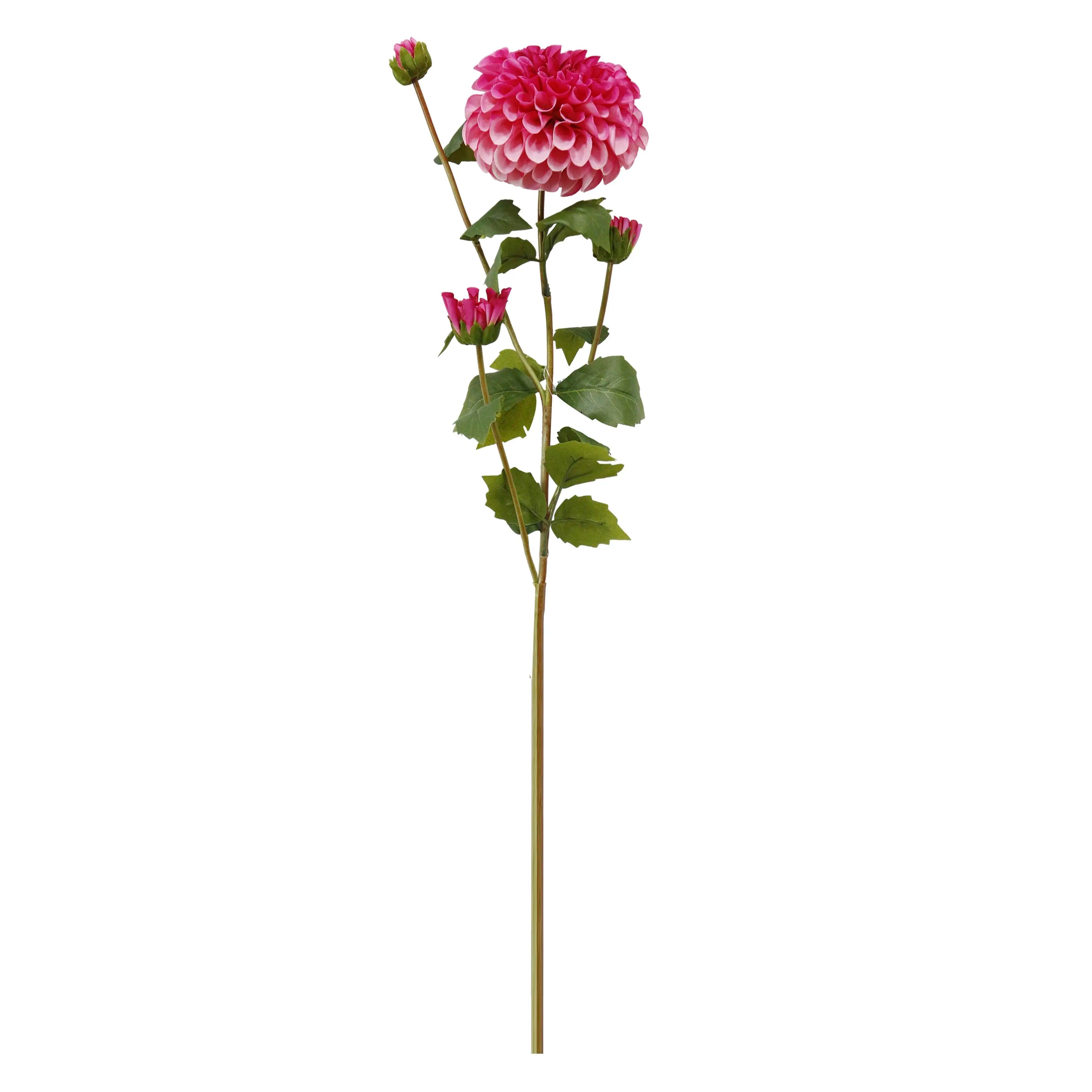 Dahlia Roze 77cm