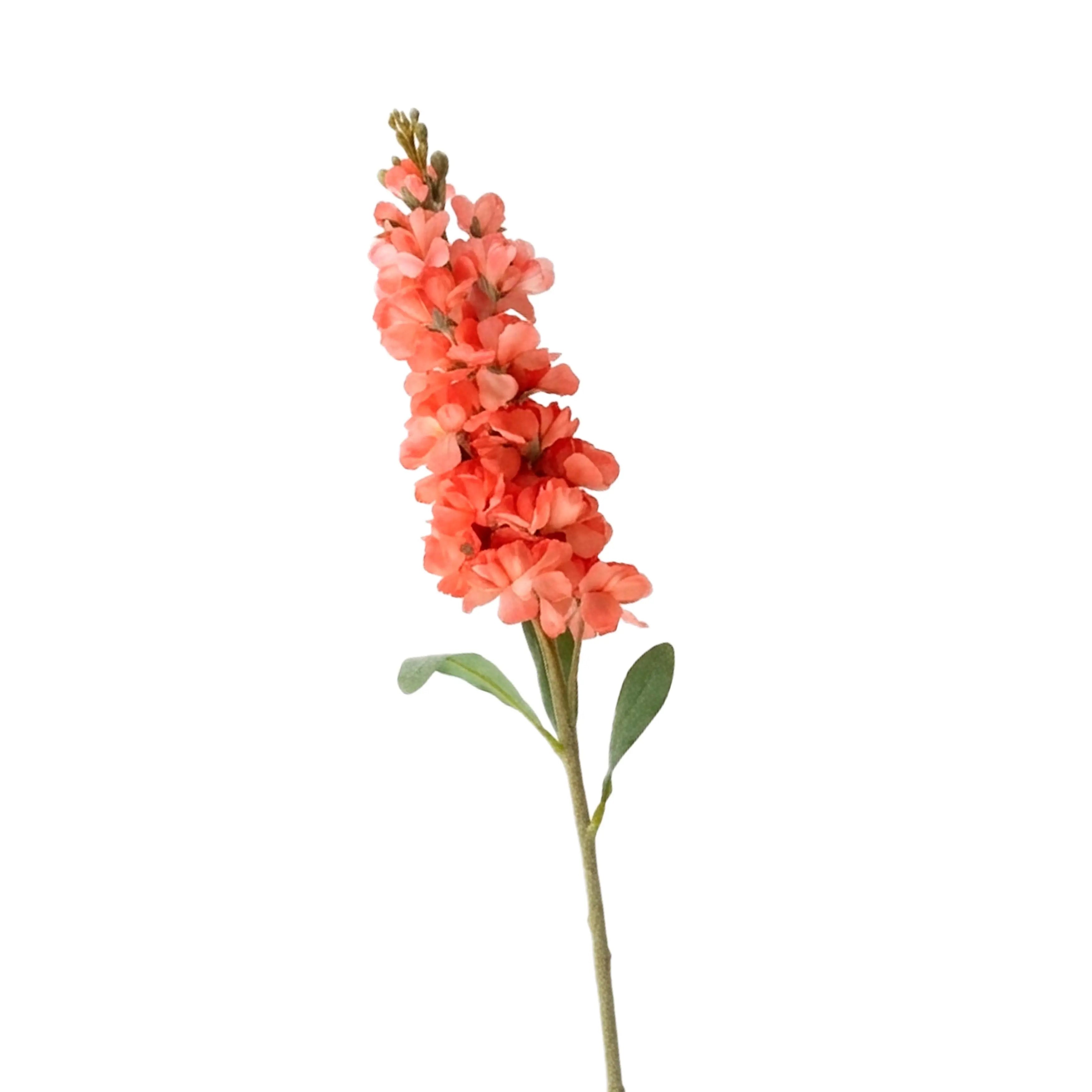 Delphinium Roze 80cm
