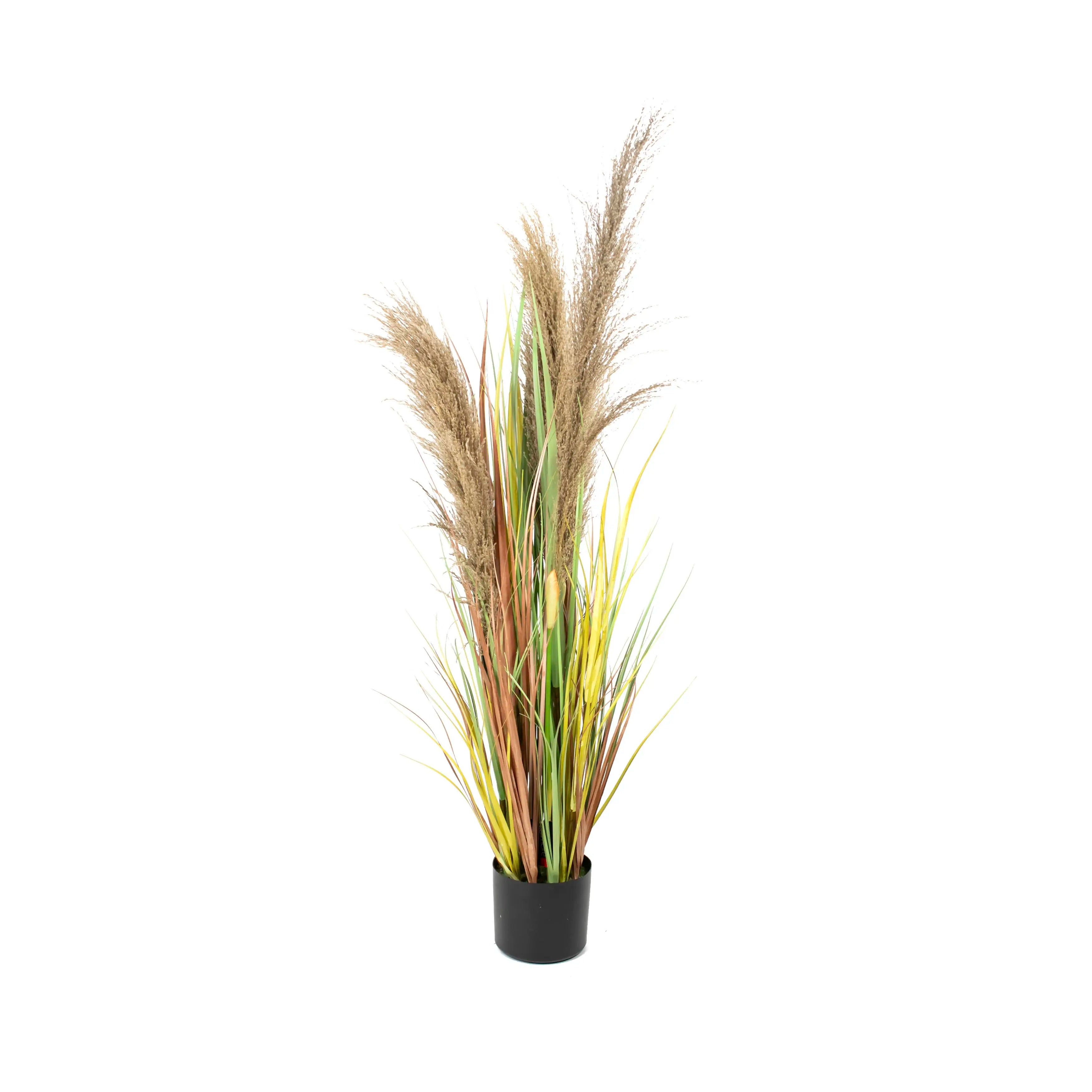 Pampas 120cm