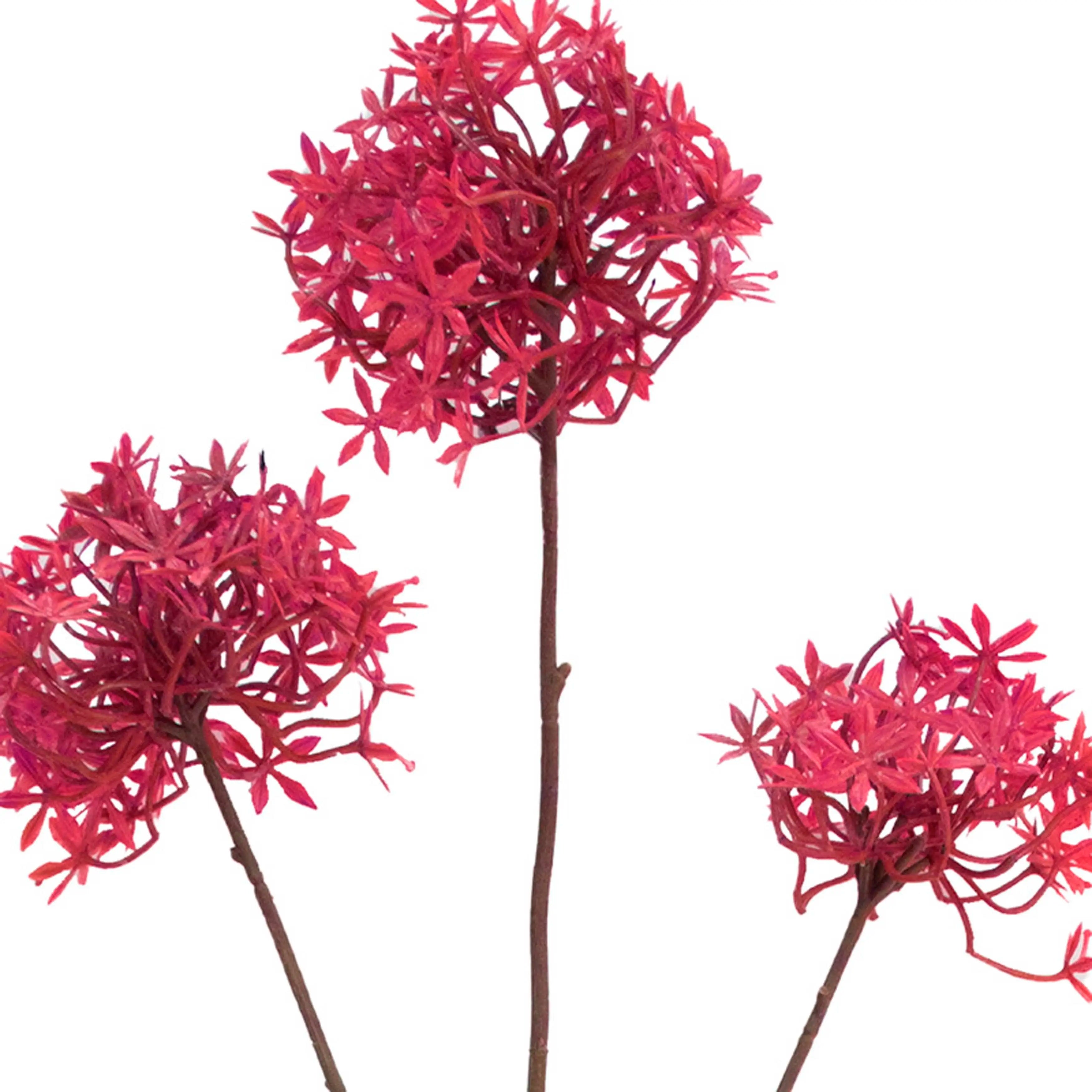 Allium Fuchsia 77cm