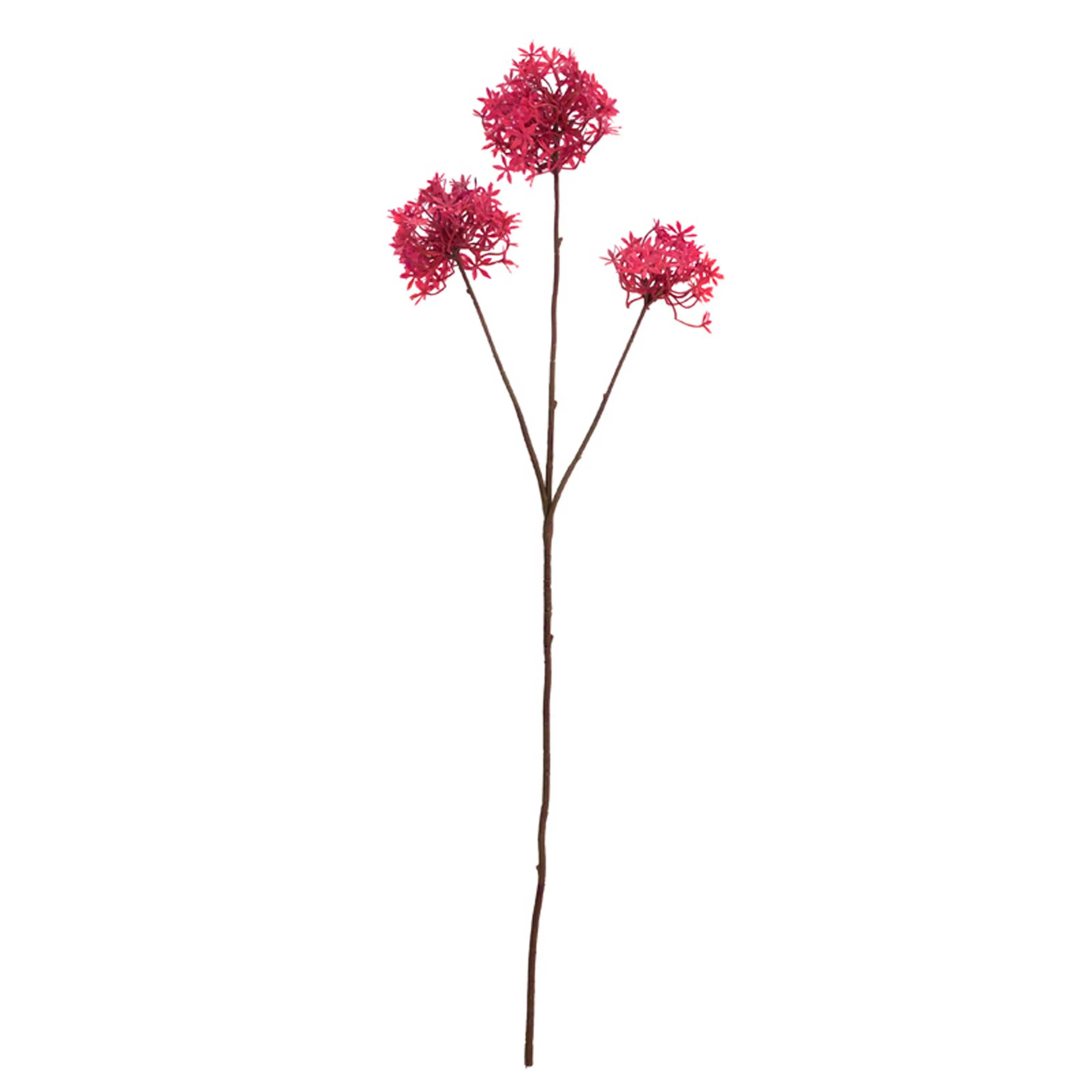 Allium Fuchsia 77cm