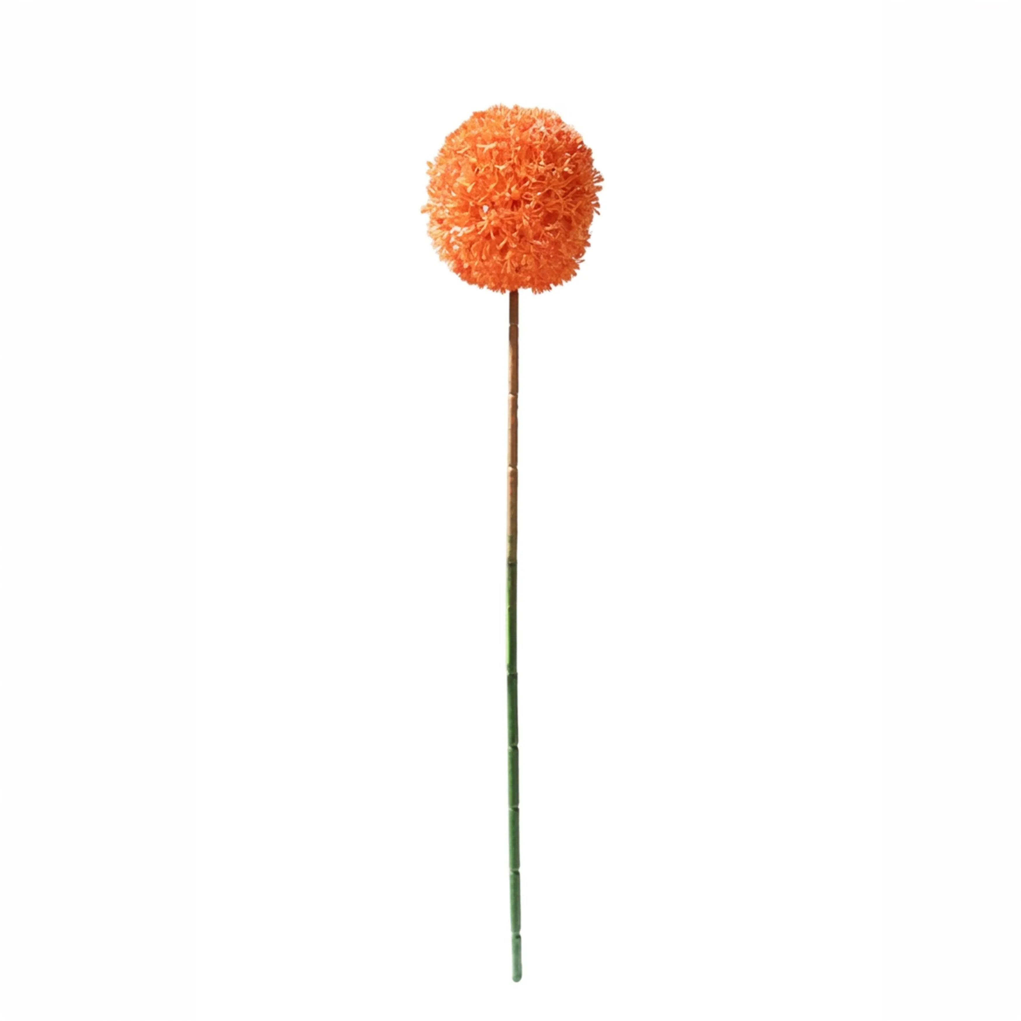 Allium Oranje 54cm