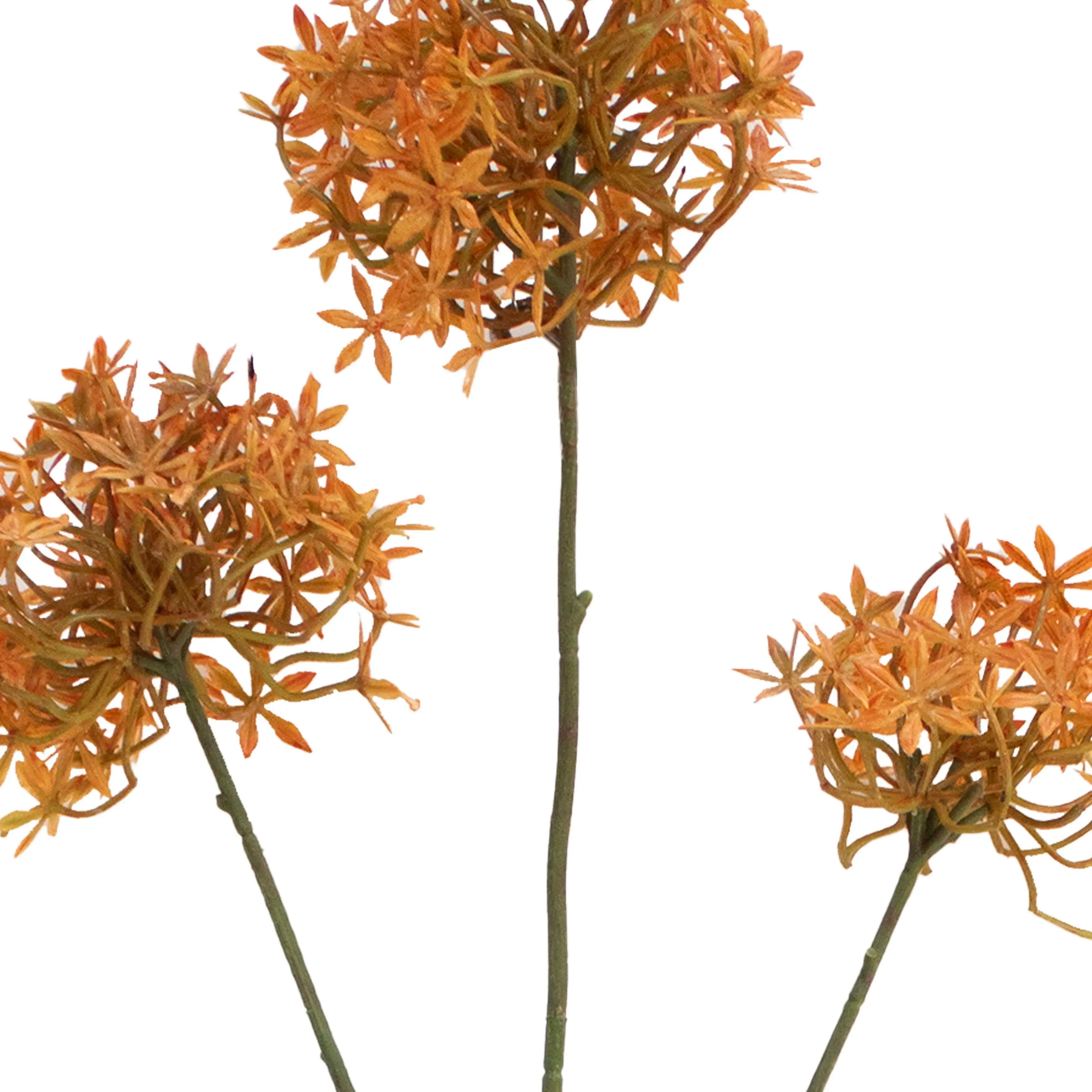 Allium Oranje 77cm