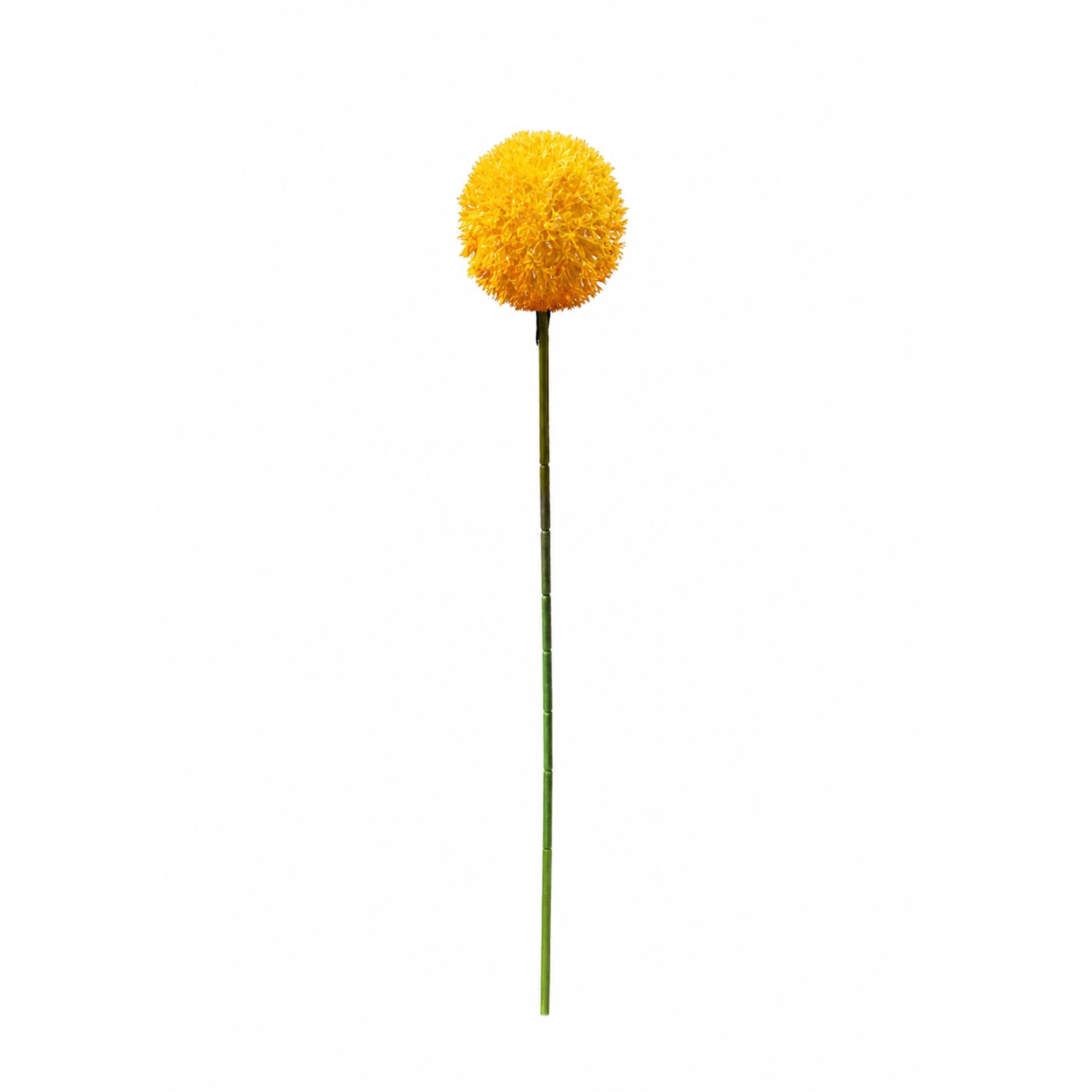 Allium Geel 54cm