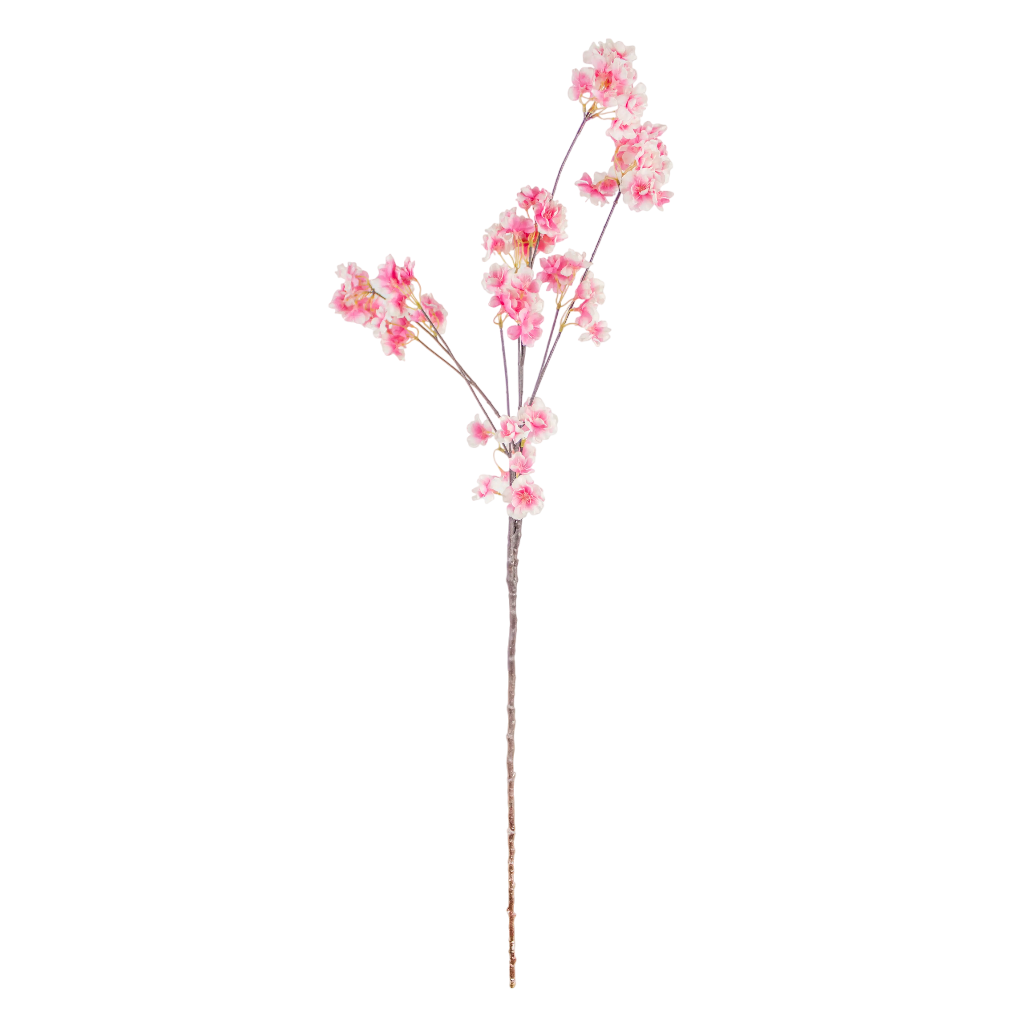 Blossom Roze 135cm