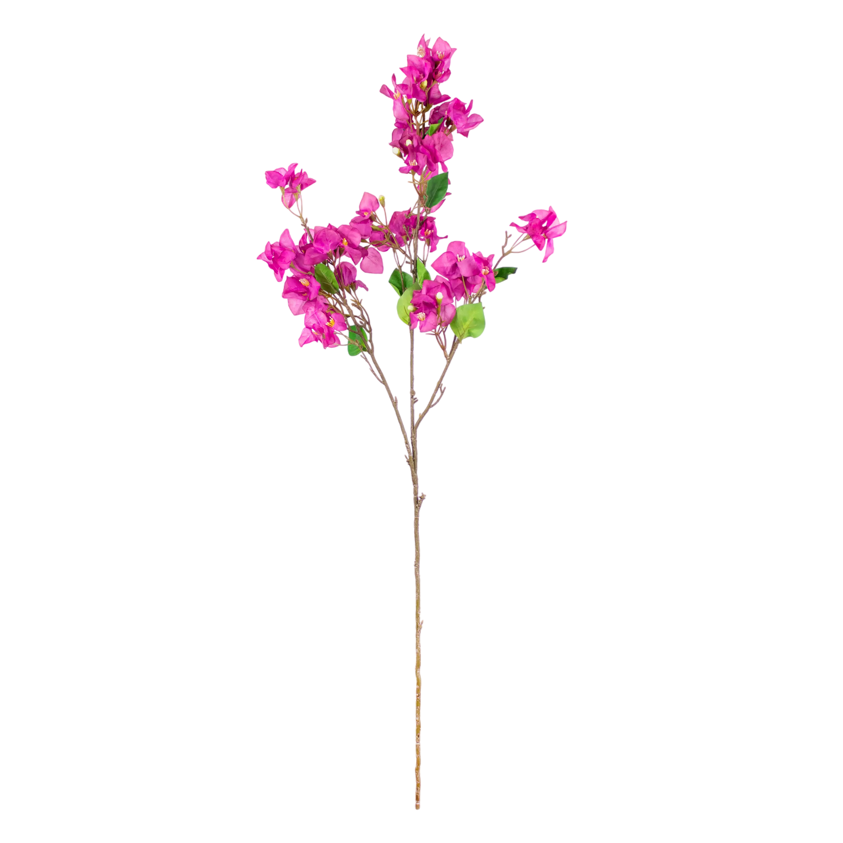 Bougainvillea Roze 105cm