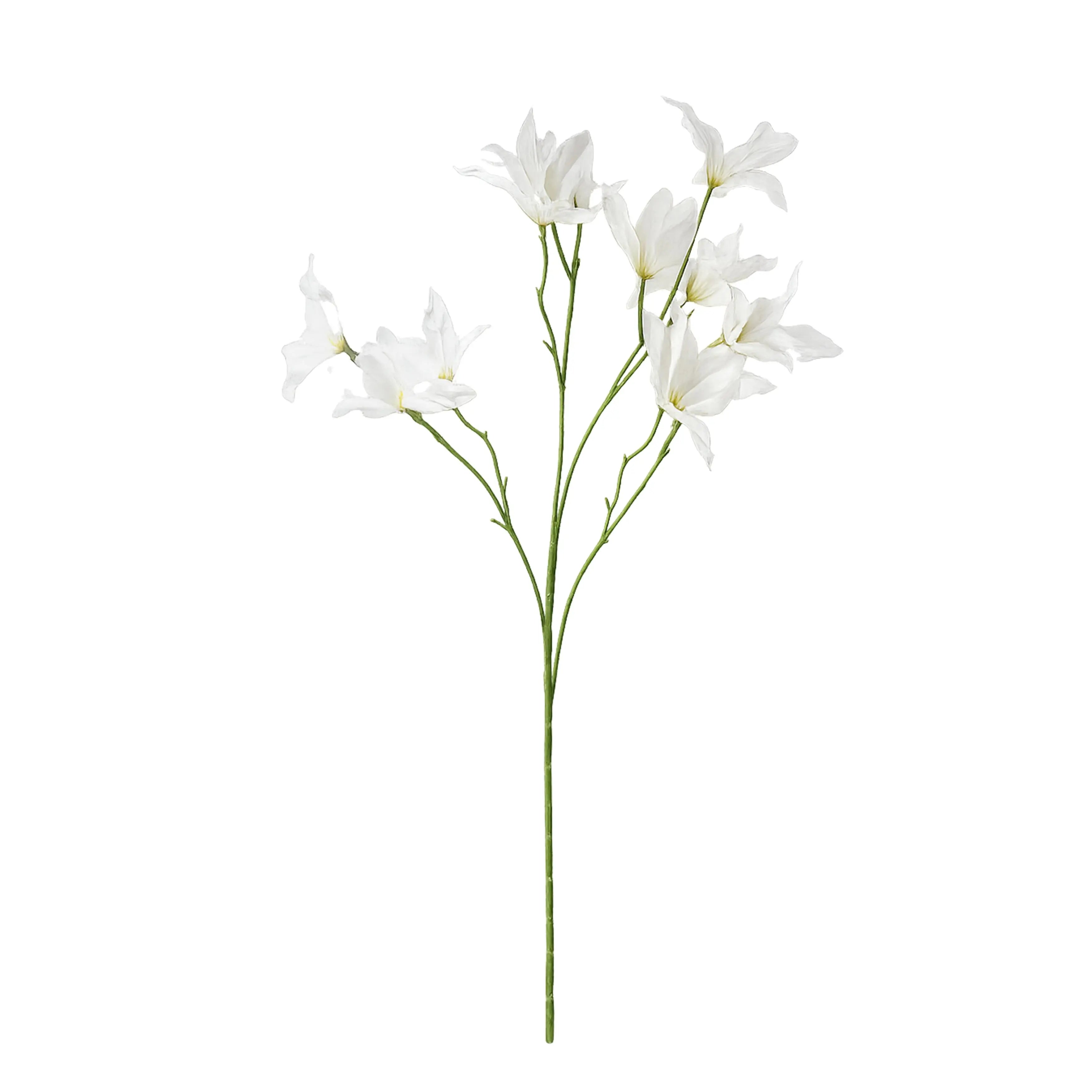 Lilly Wit 84cm