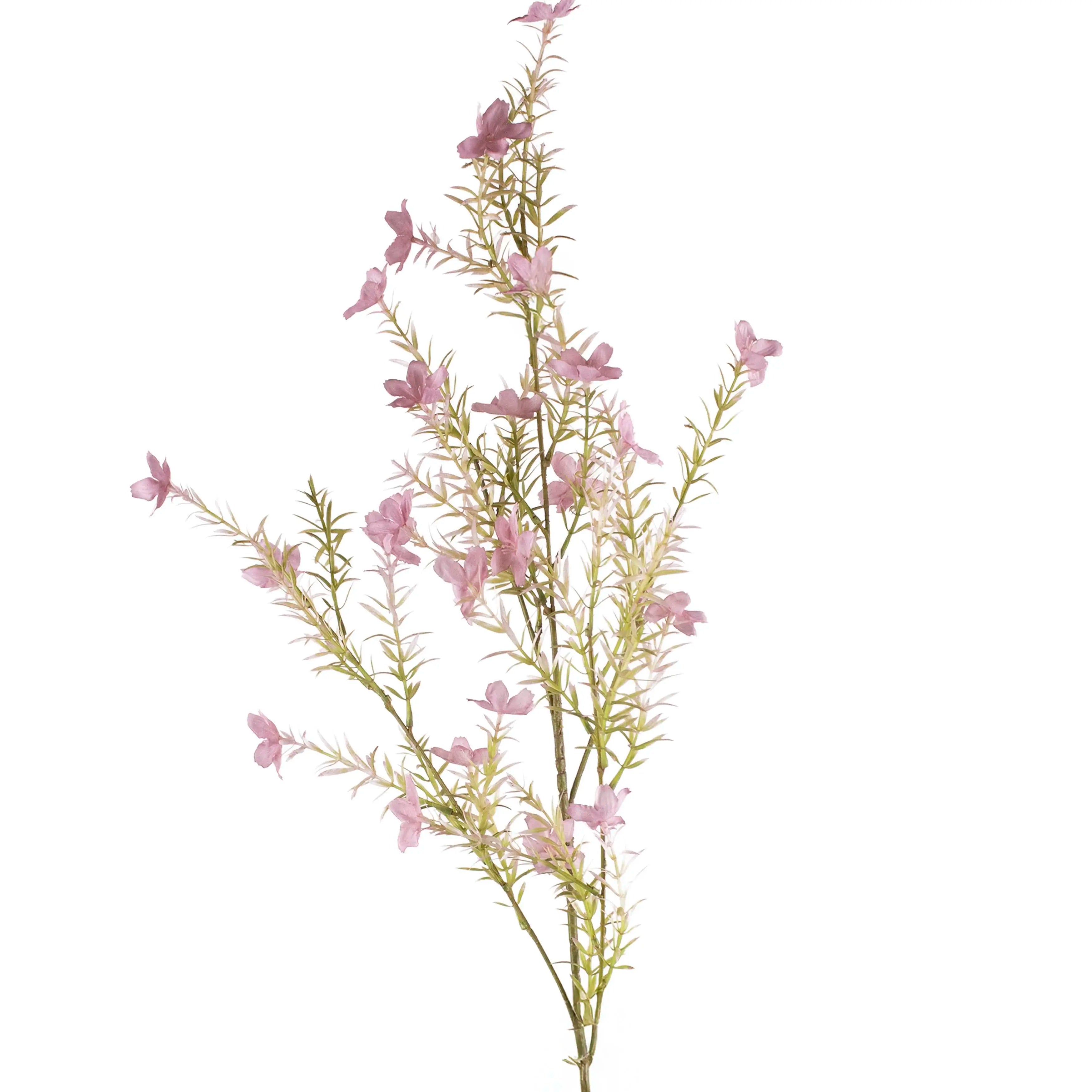 Catharanthus Roseus Lichtpaars 100cm