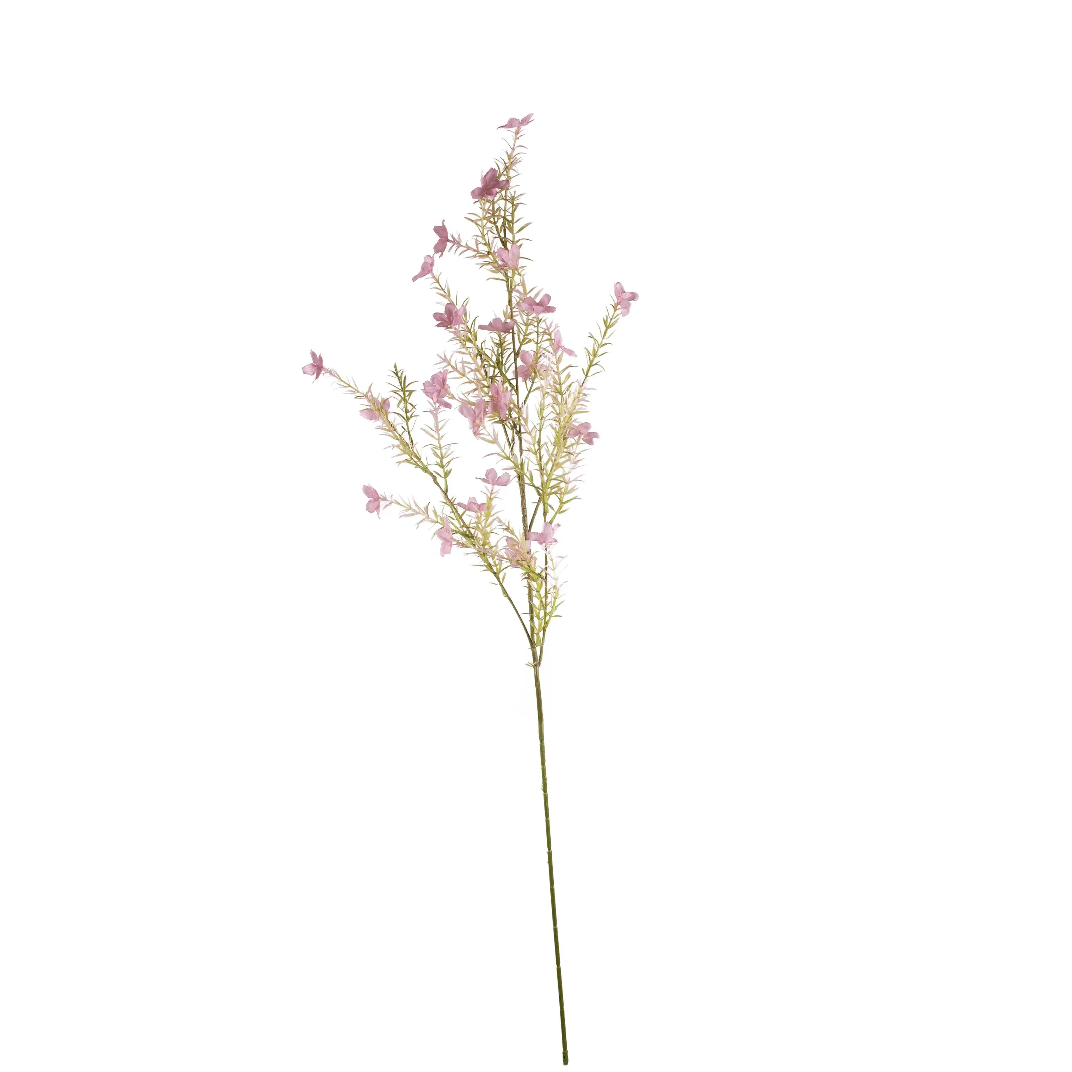 Catharanthus Roseus Lichtpaars 100cm