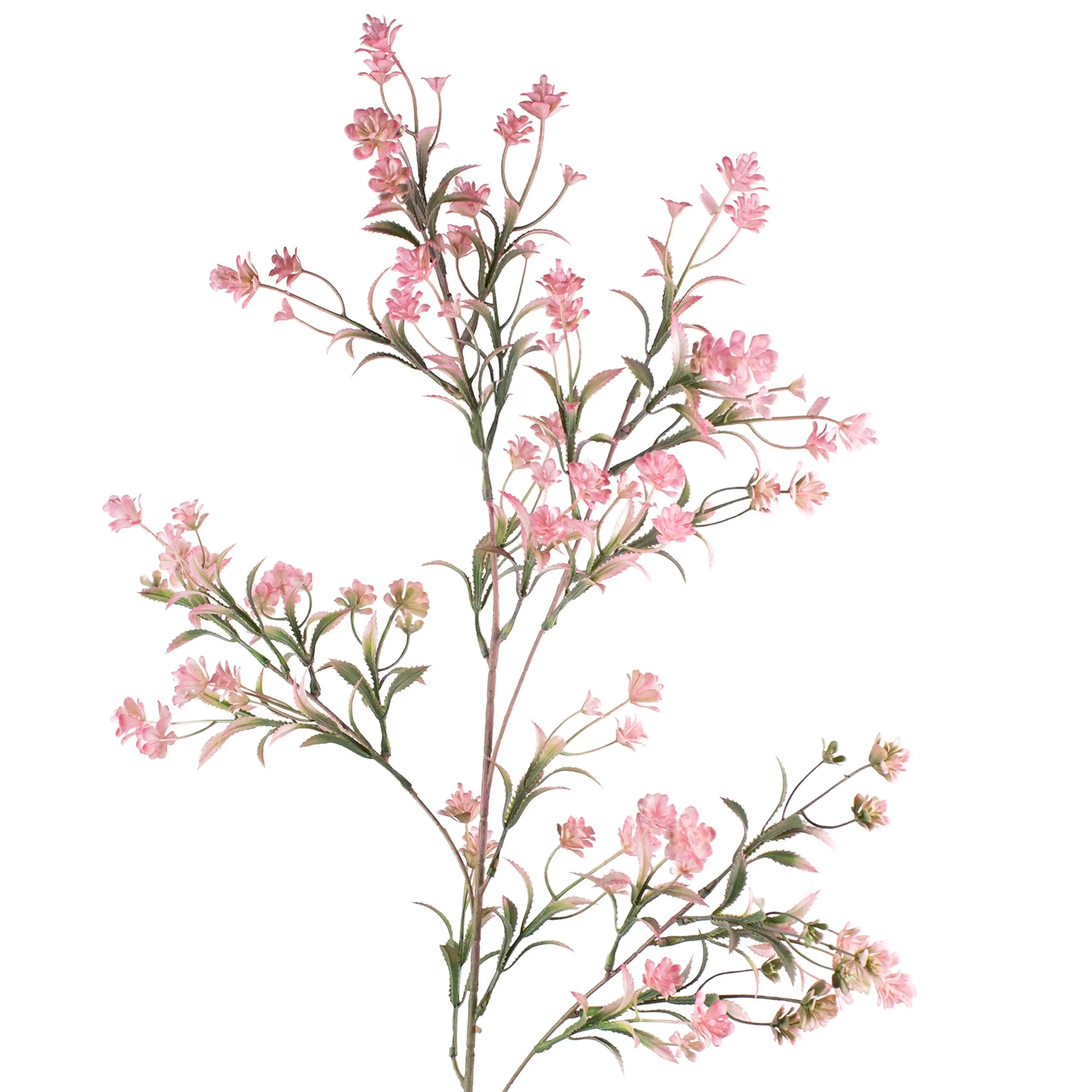 Chamelaucium Roze 96cm
