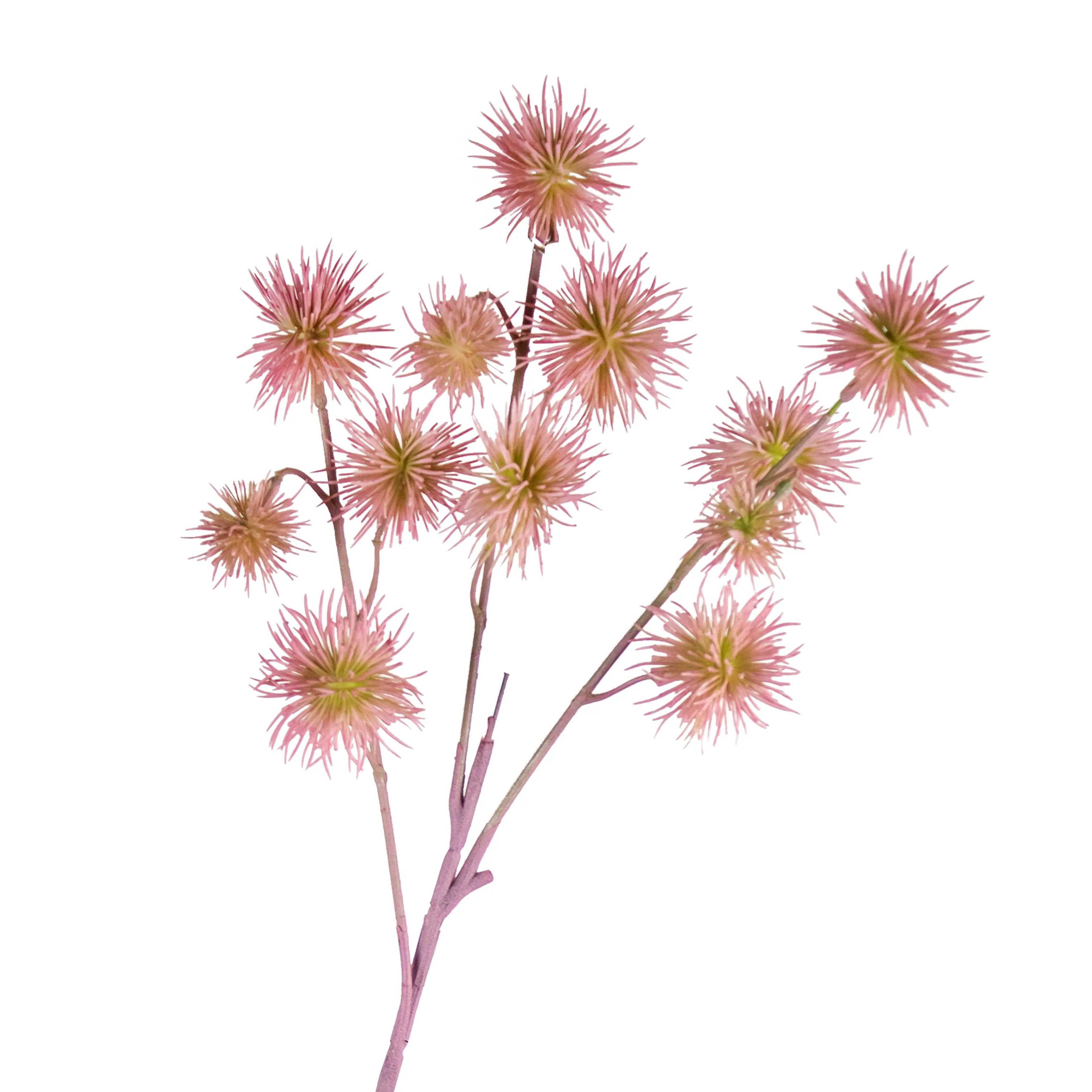 Chestnut Lichtroze 60cm