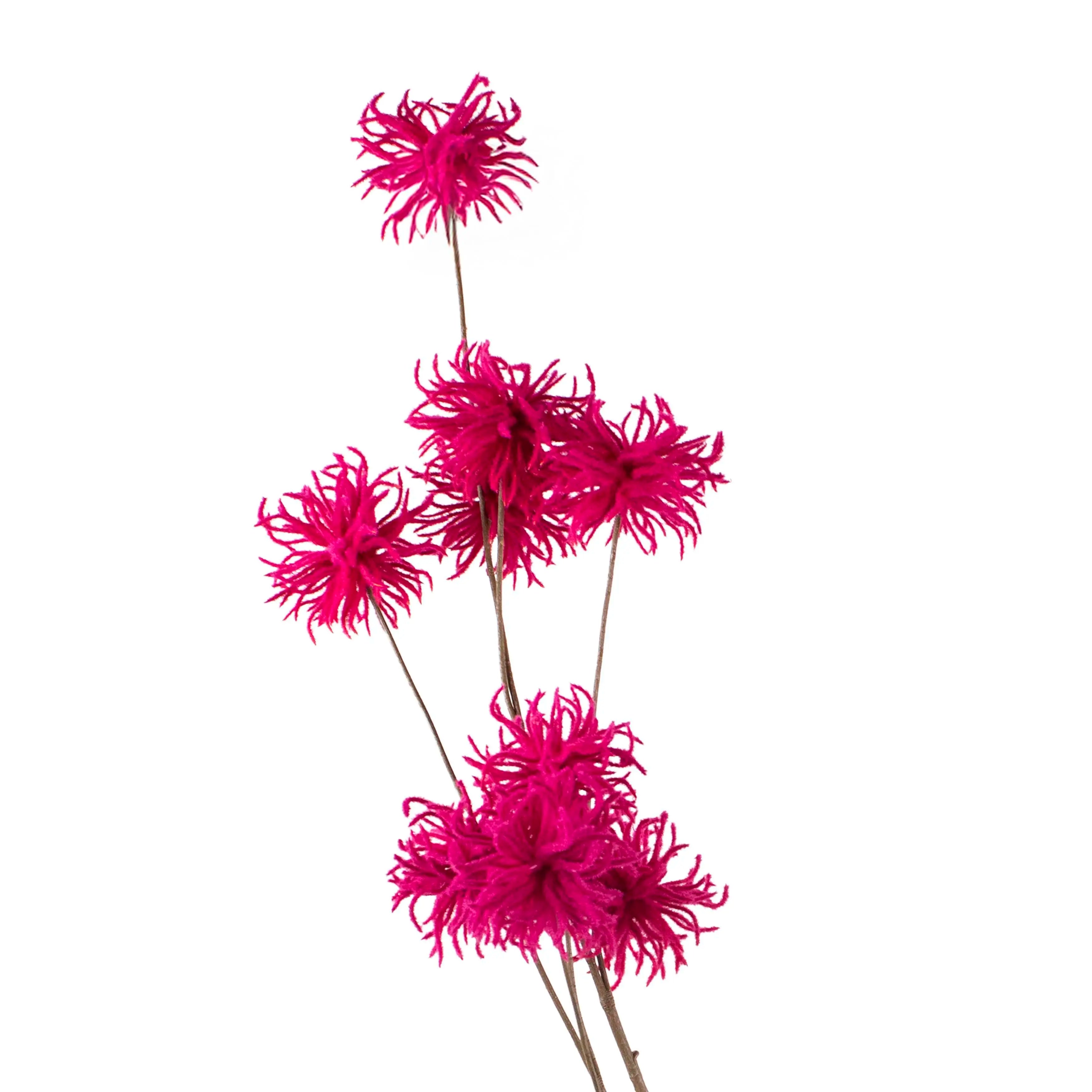 Chrysanthemum Fuchsia 123cm