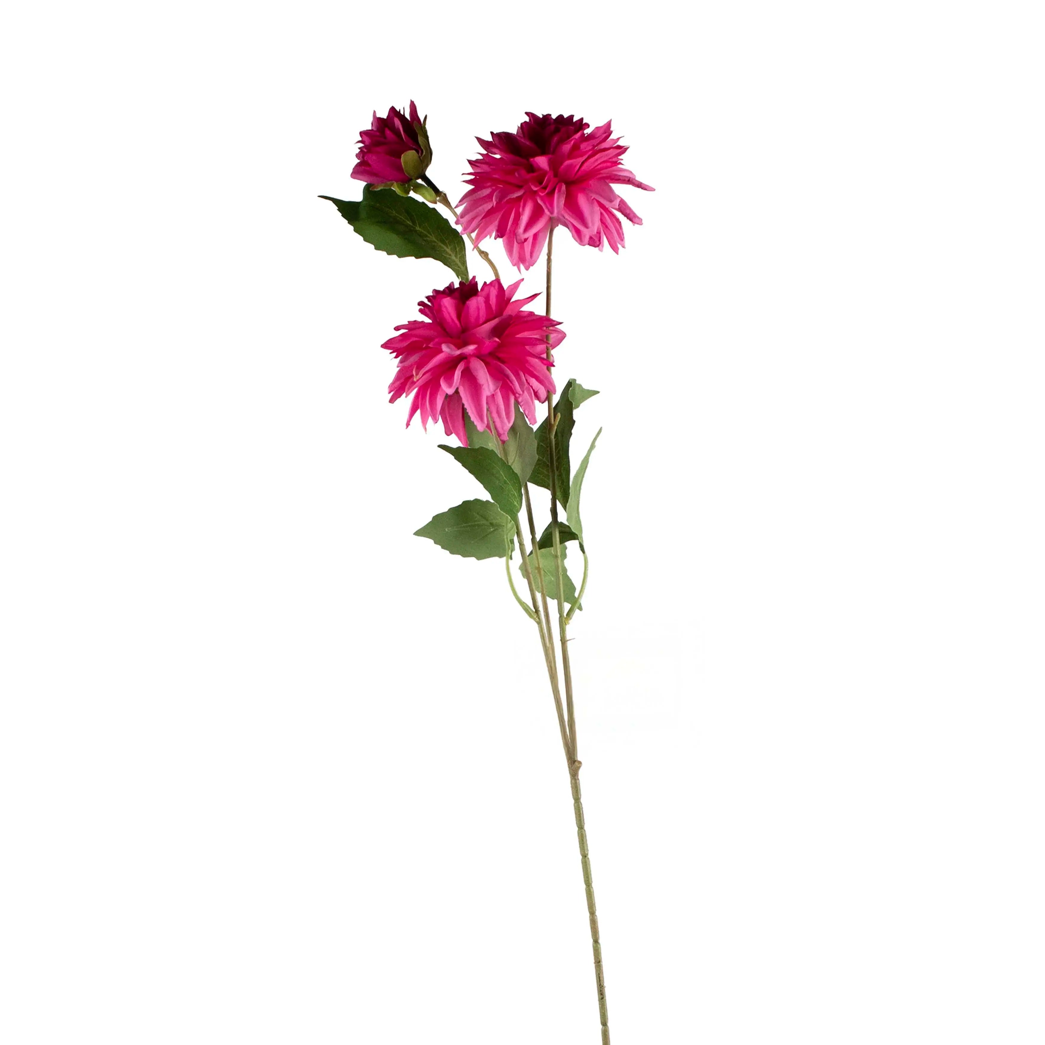 Chrysanthemum Fuchsia 72cm