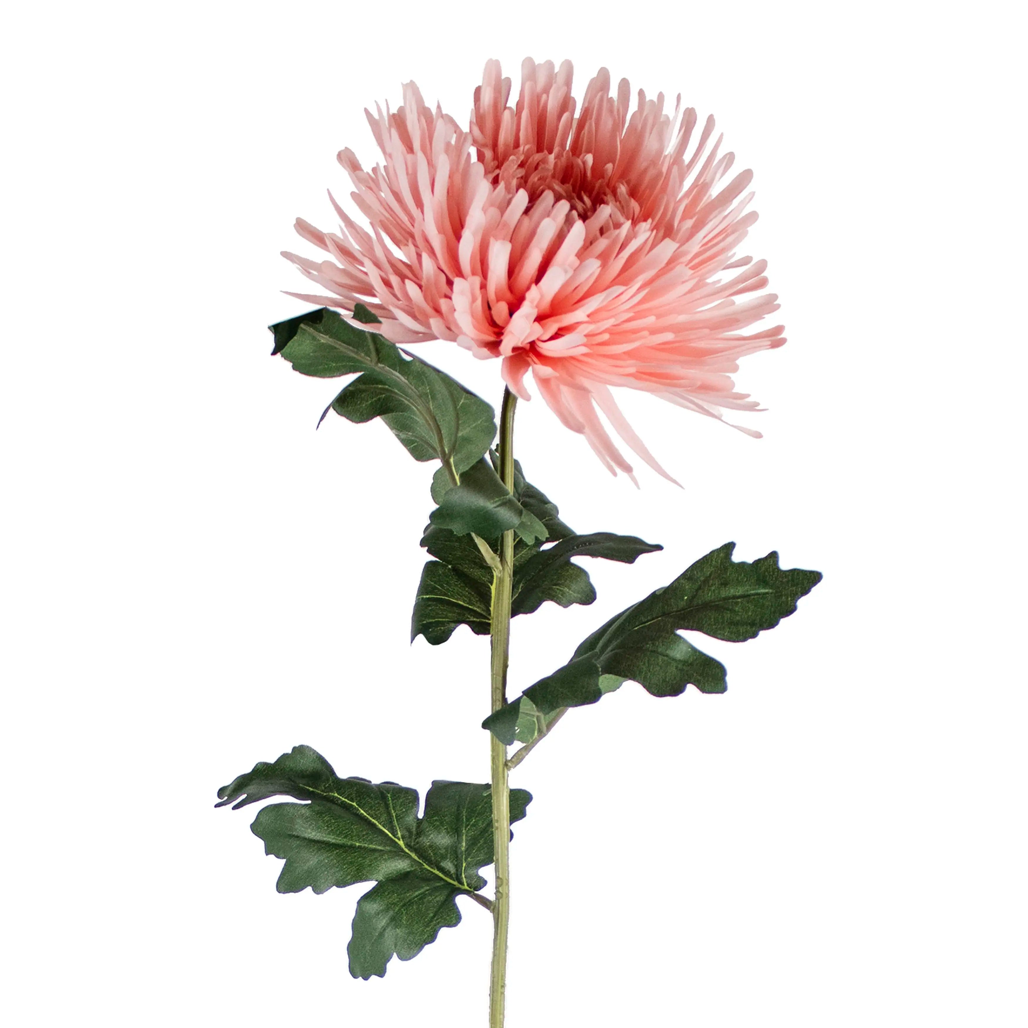 Chrysanthemum Roze 91cm