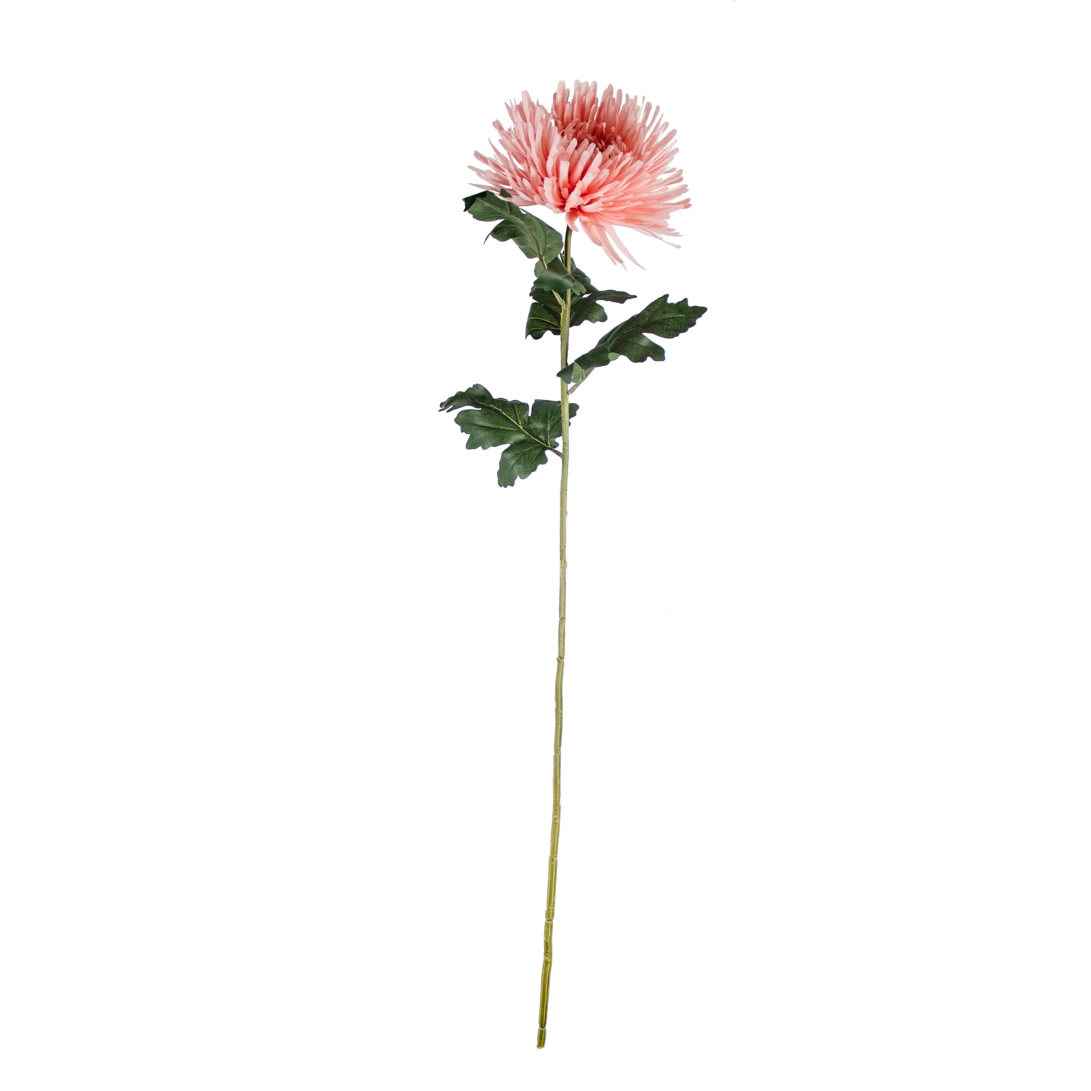 Chrysanthemum Roze 91cm