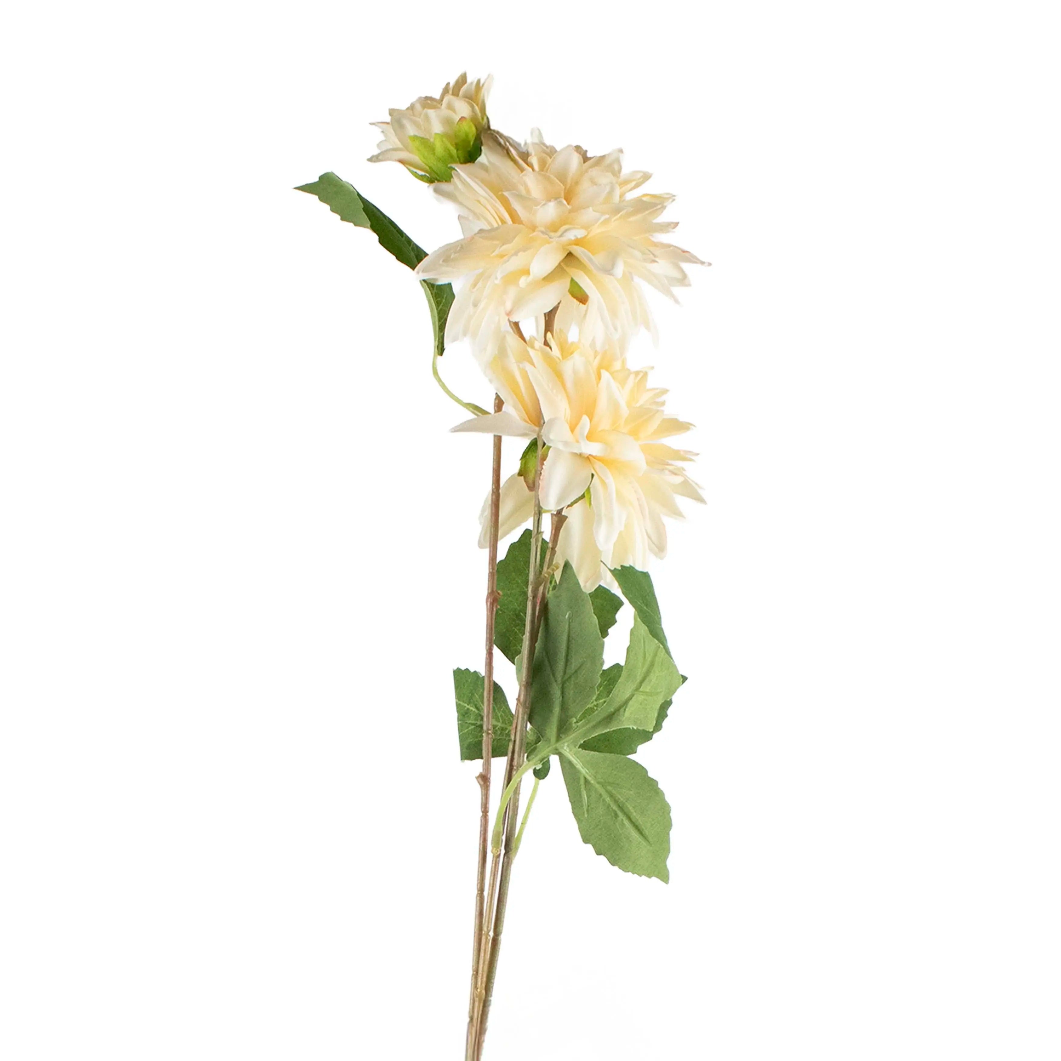 Chrysanthemum Wit 72cm