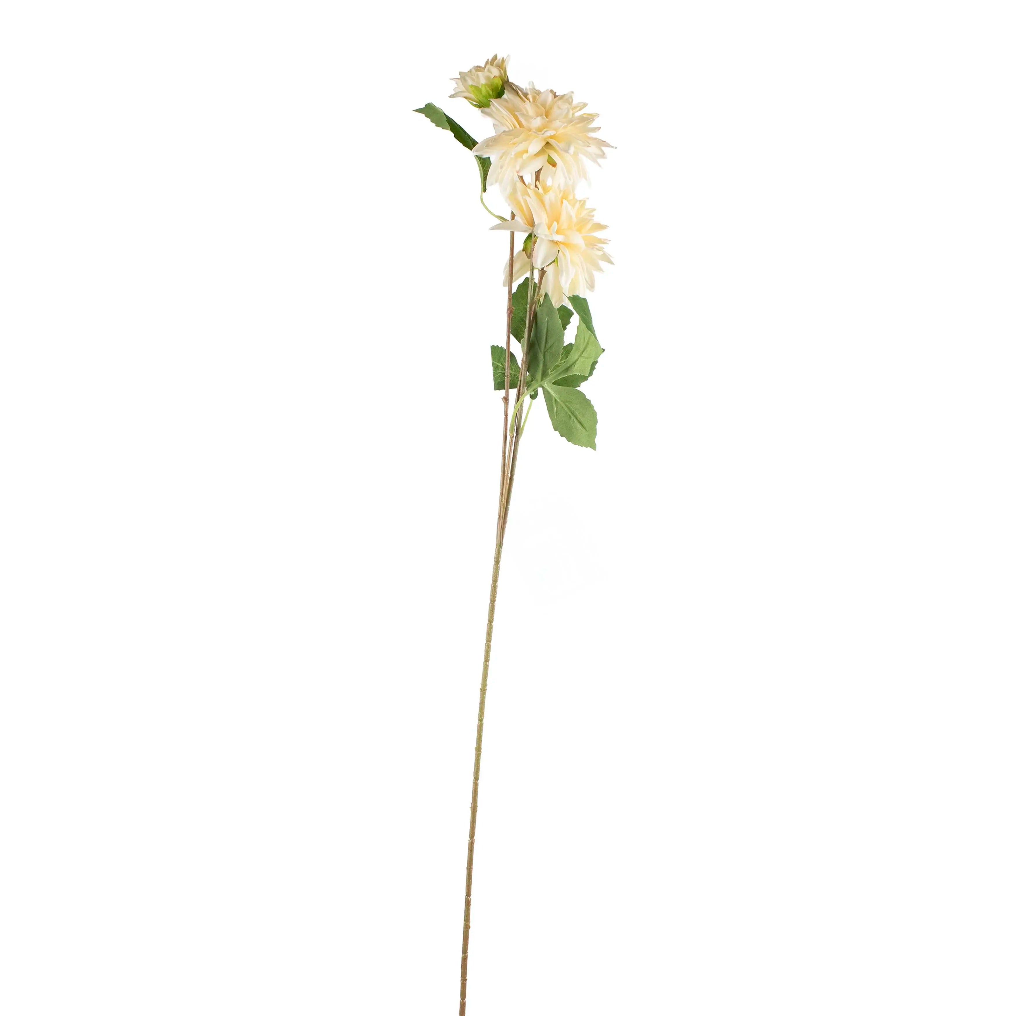 Chrysanthemum Wit 72cm