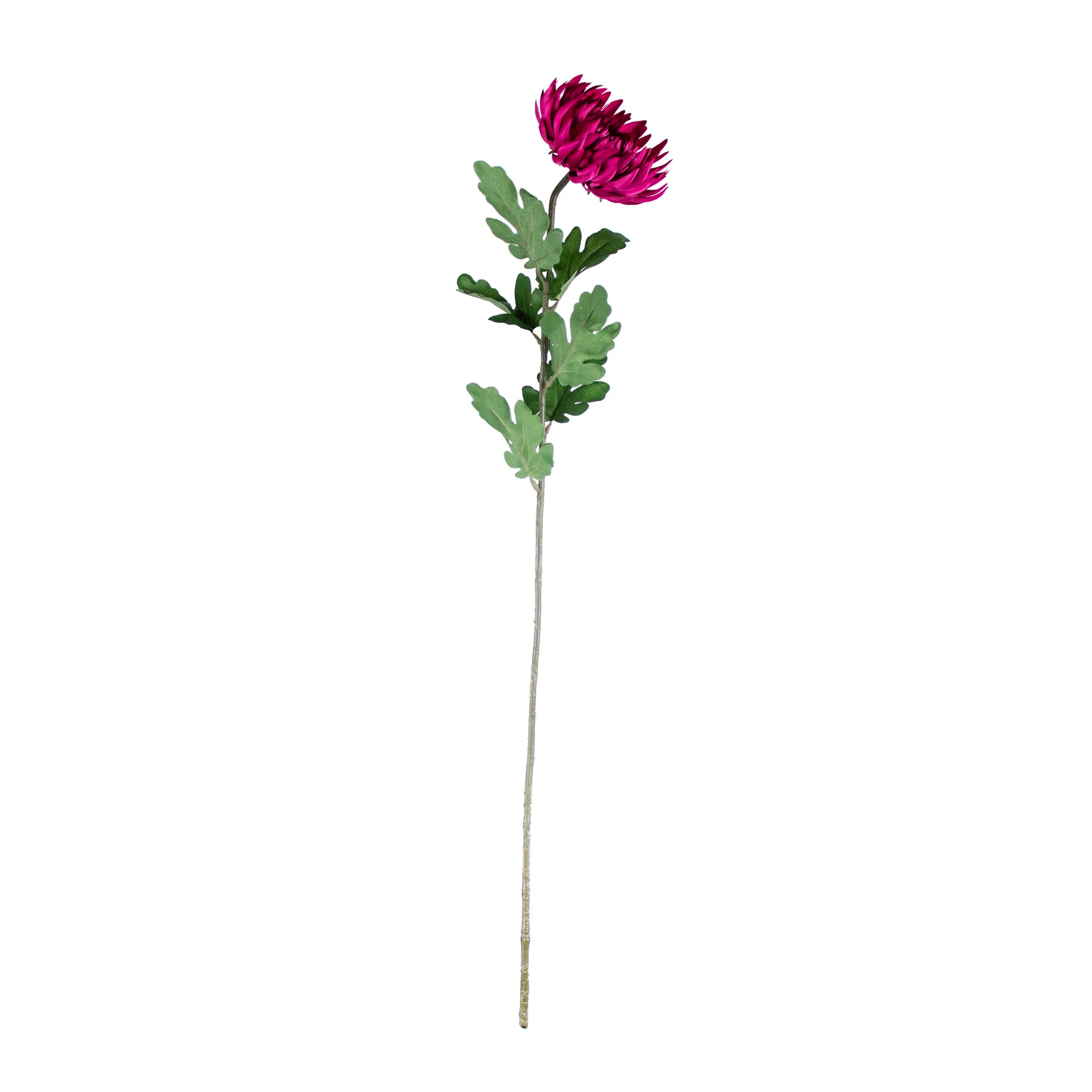 Chrysanthemum Fuchsia 80cm