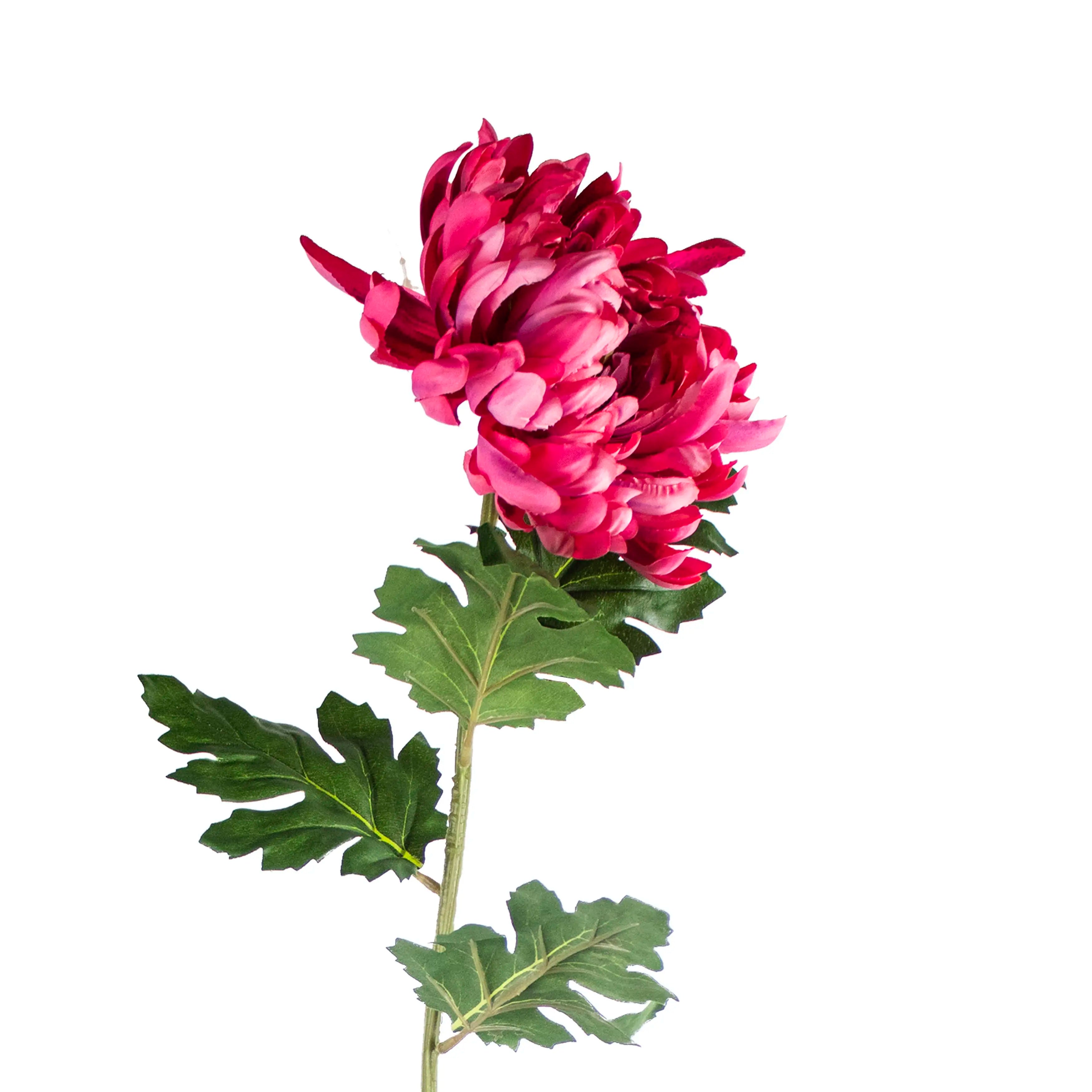 Chrysanthemum Fuchsia 90cm