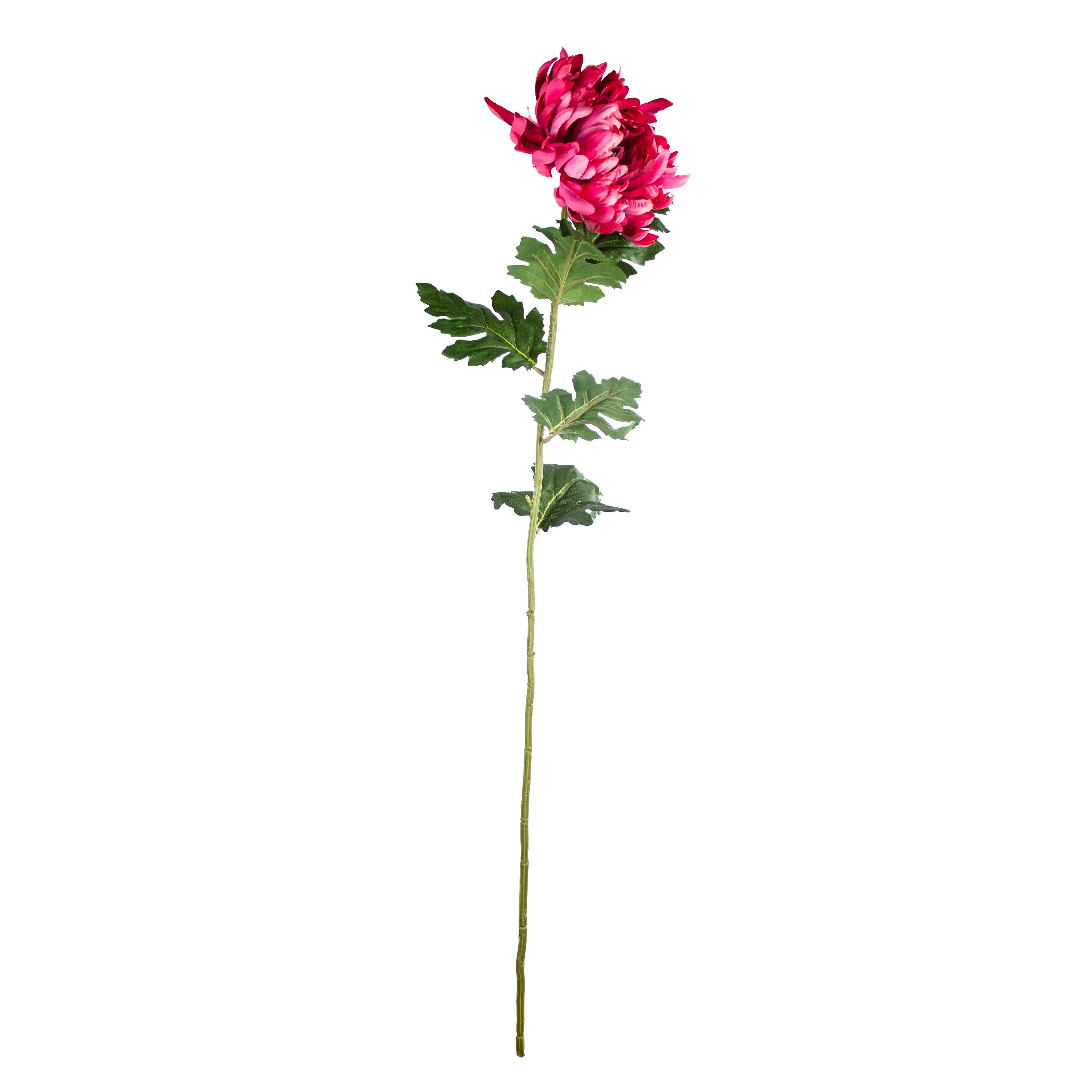 Chrysanthemum Fuchsia 90cm