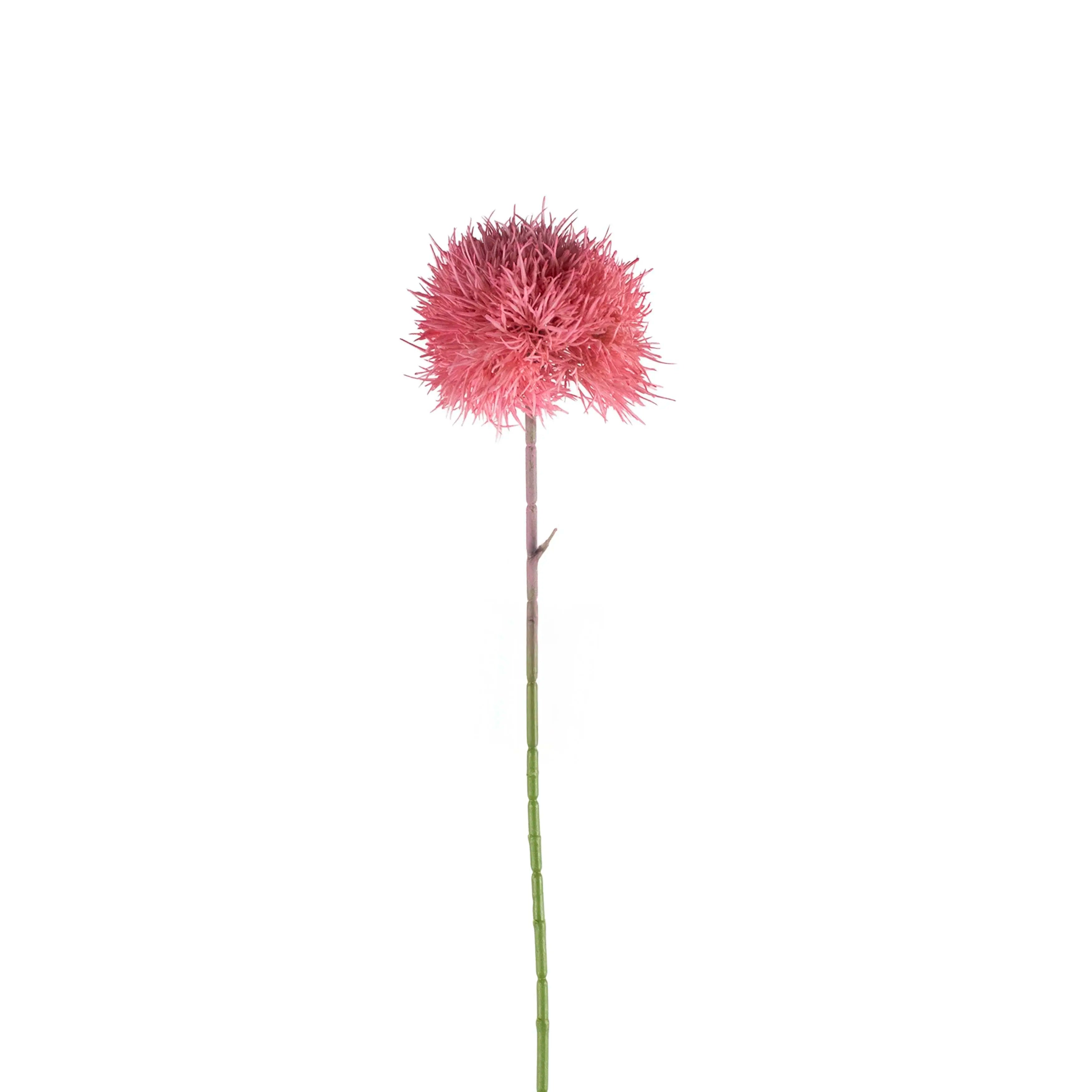 Dandelion Roze 70cm