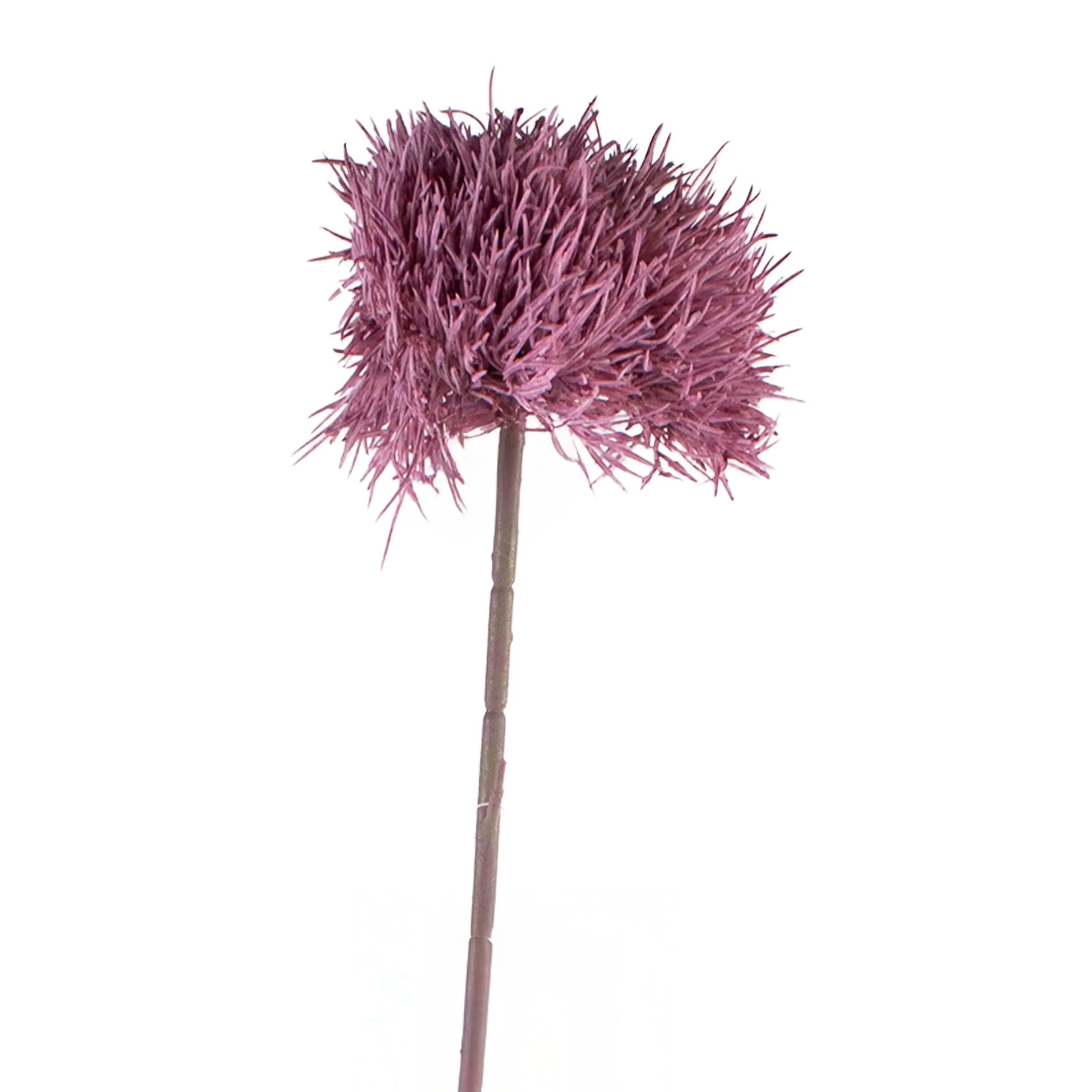 Dandelion Soft Paars 70cm