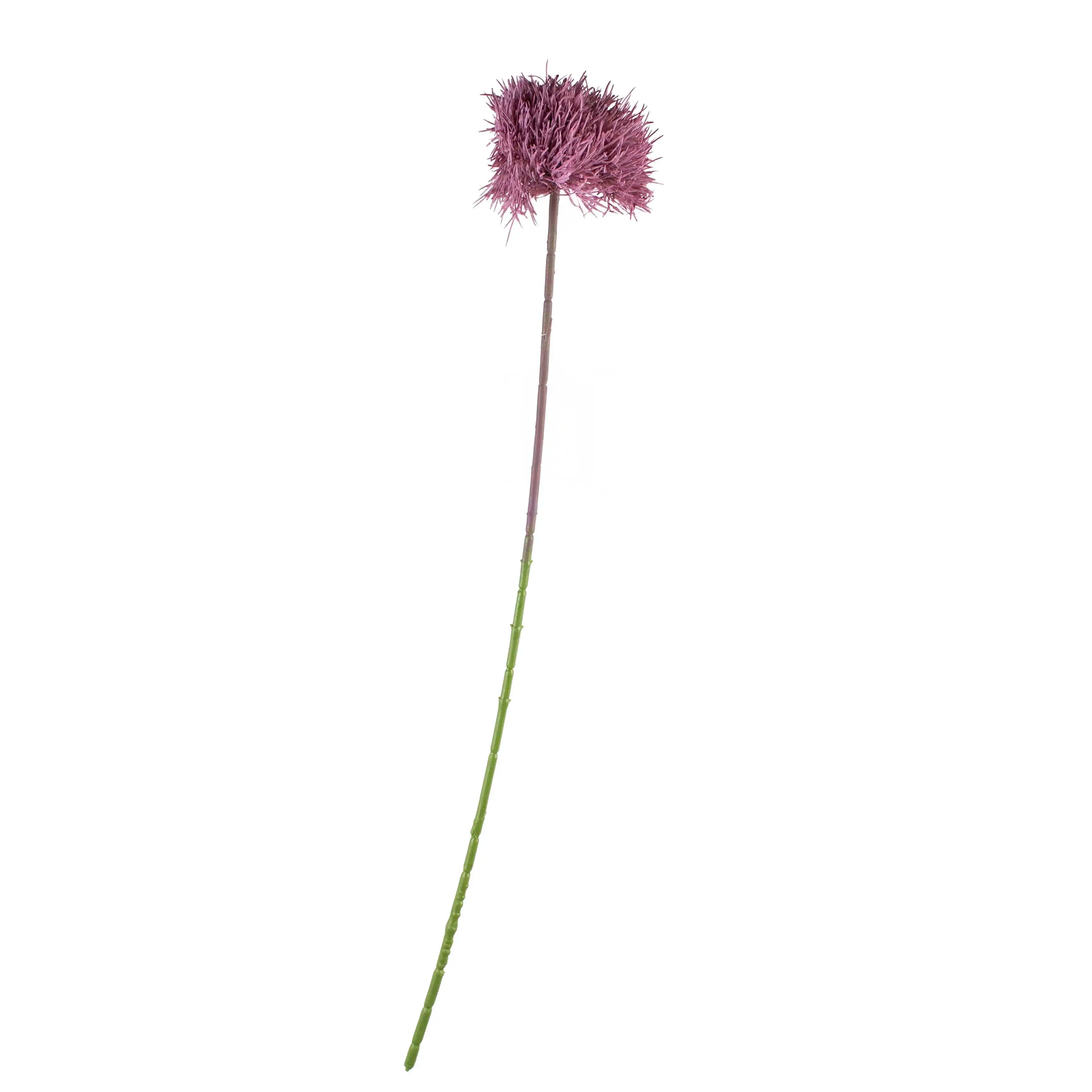Dandelion Soft Paars 70cm