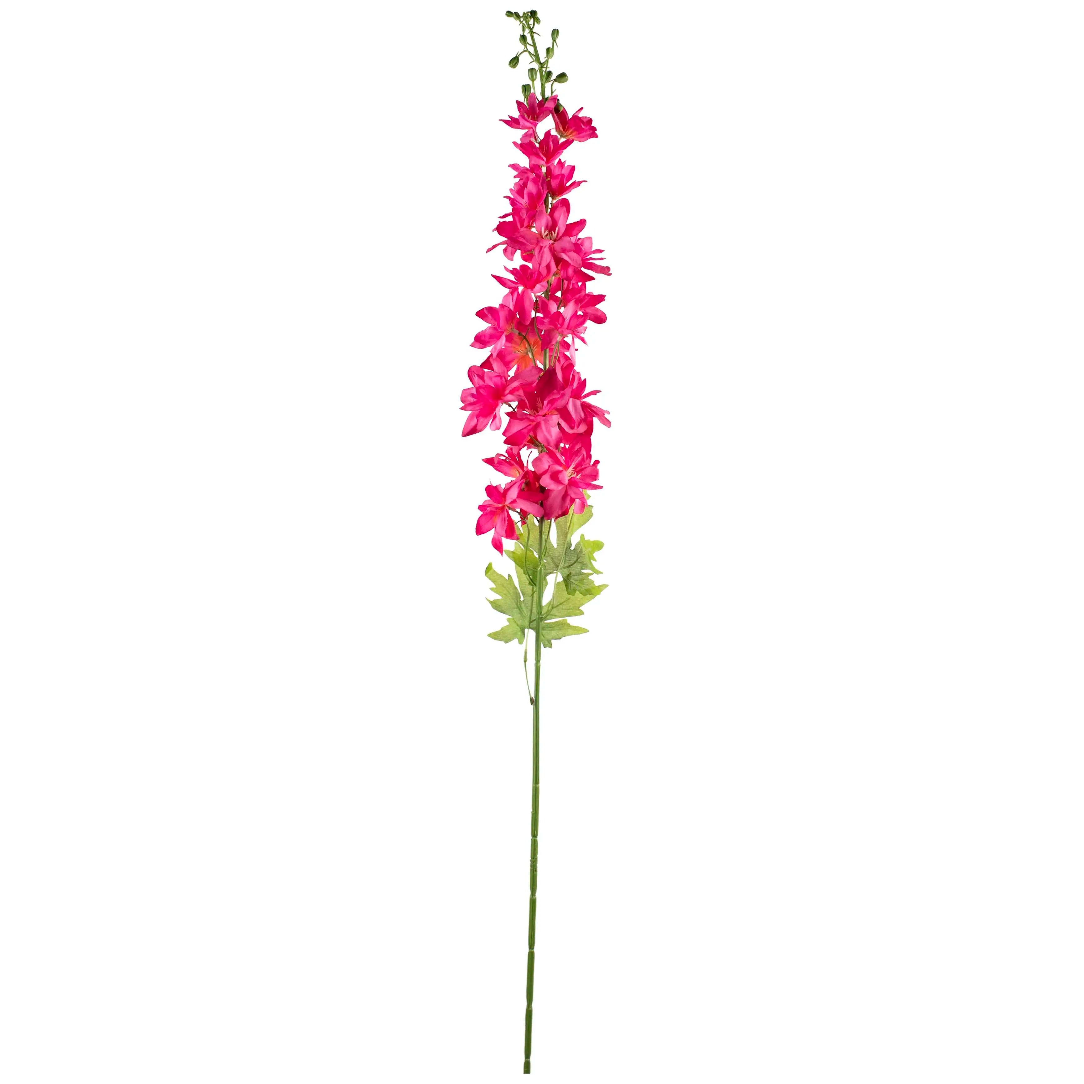Delphinium Fuchsia 107cm