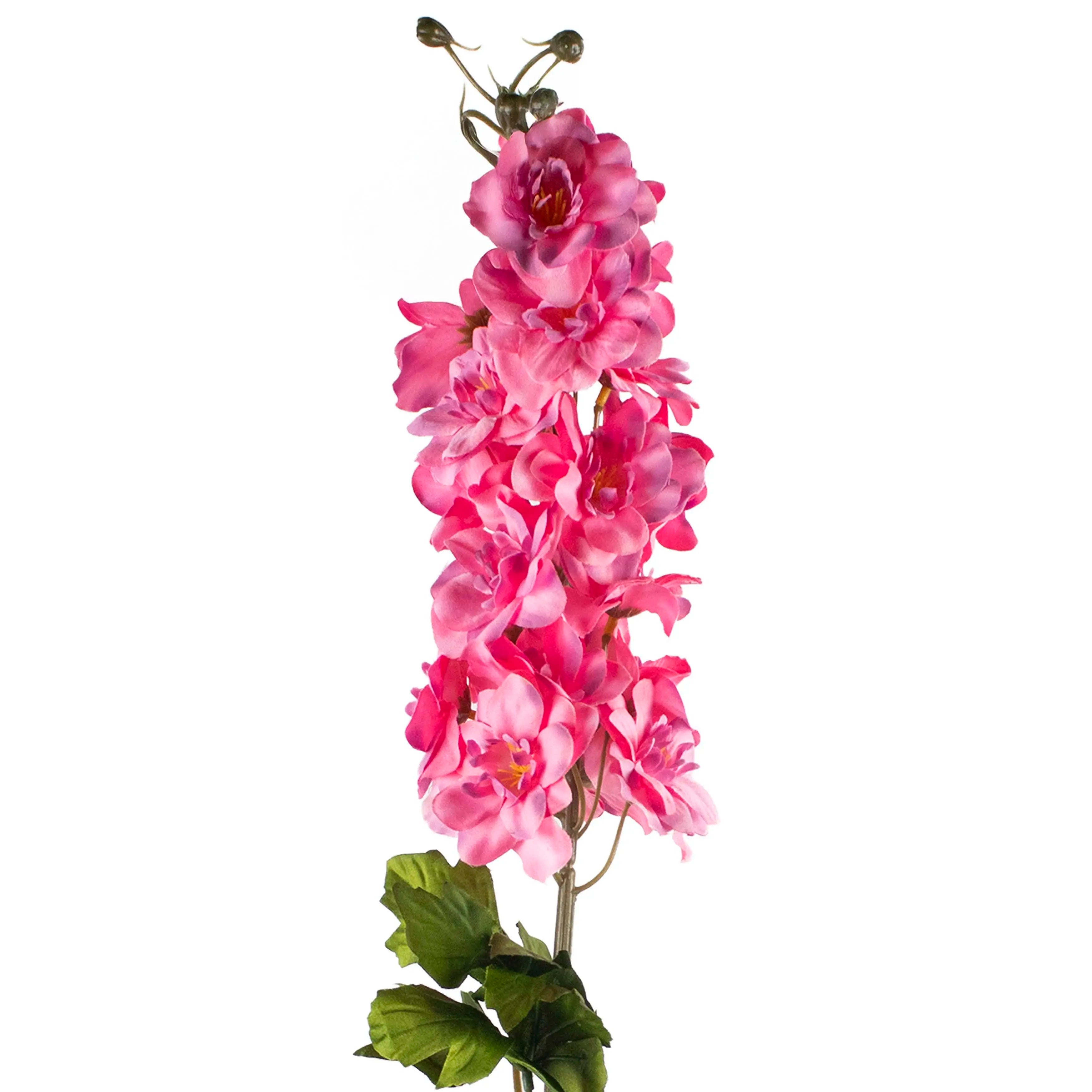 Delphinium Roze 78cm