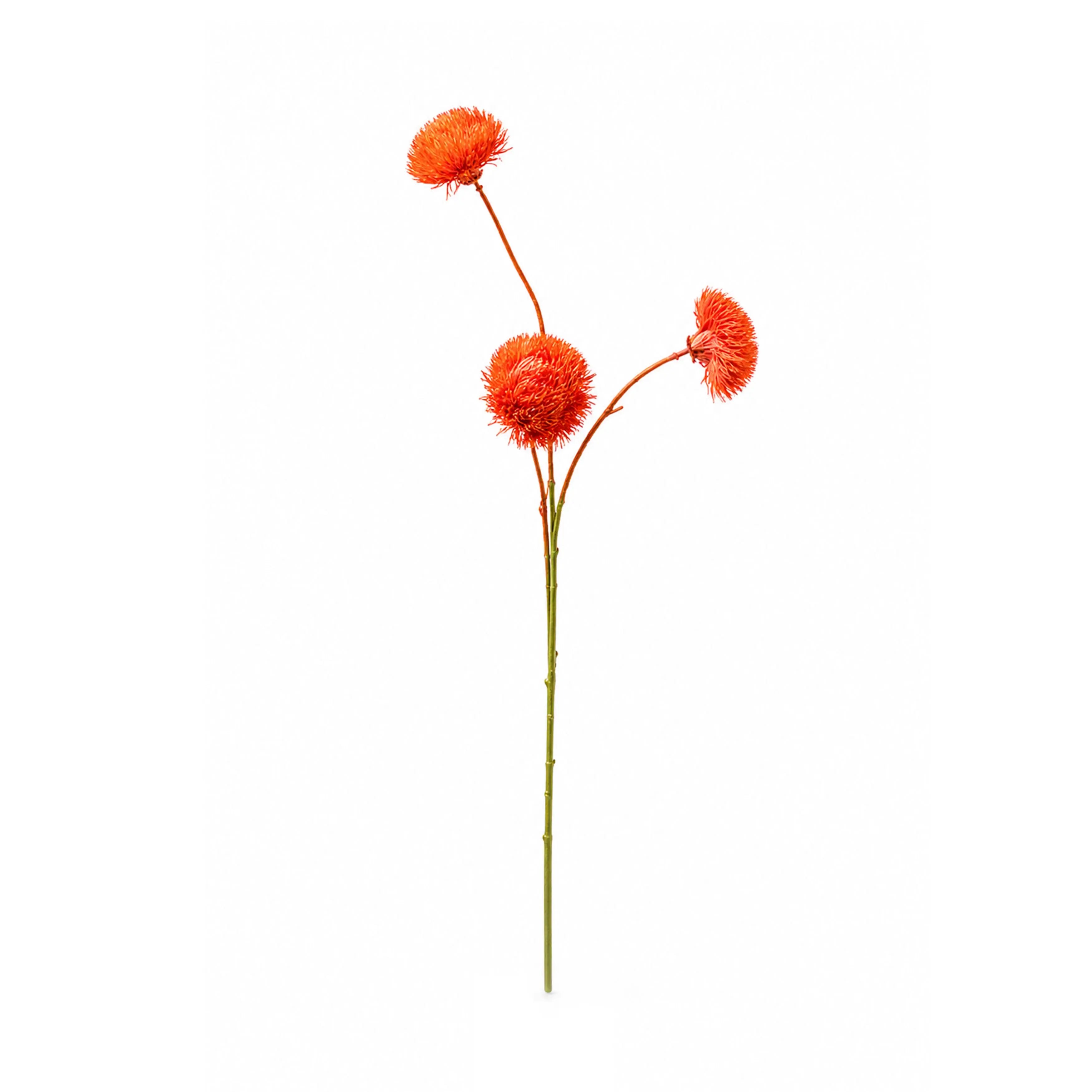 Dianthus Oranje 73cm